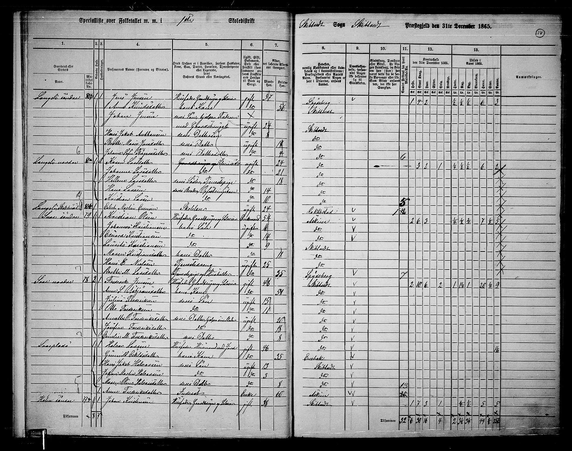 RA, 1865 census for Skiptvet, 1865, p. 13