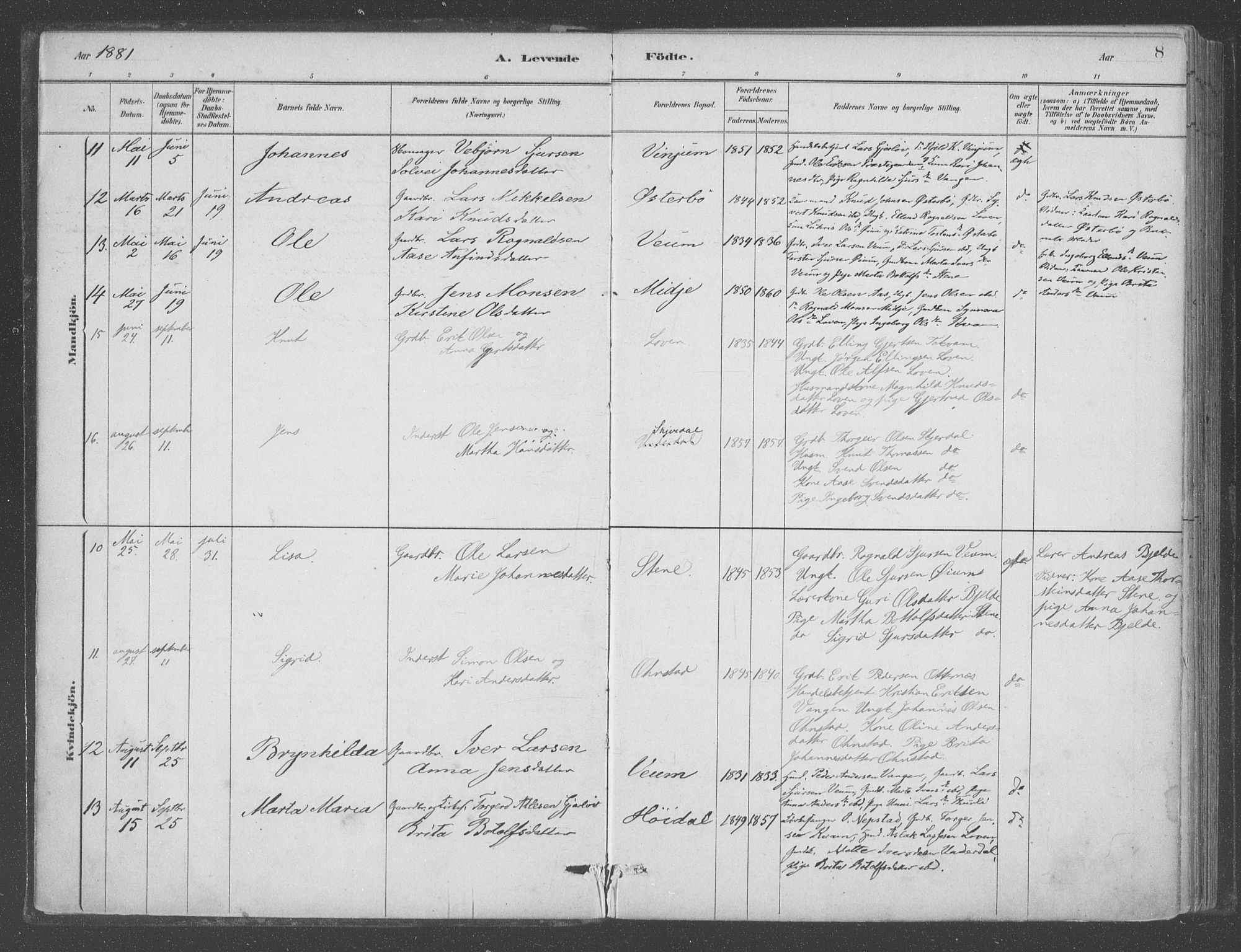 Aurland sokneprestembete, AV/SAB-A-99937/H/Ha/Hab/L0001: Parish register (official) no. B  1, 1880-1909, p. 8