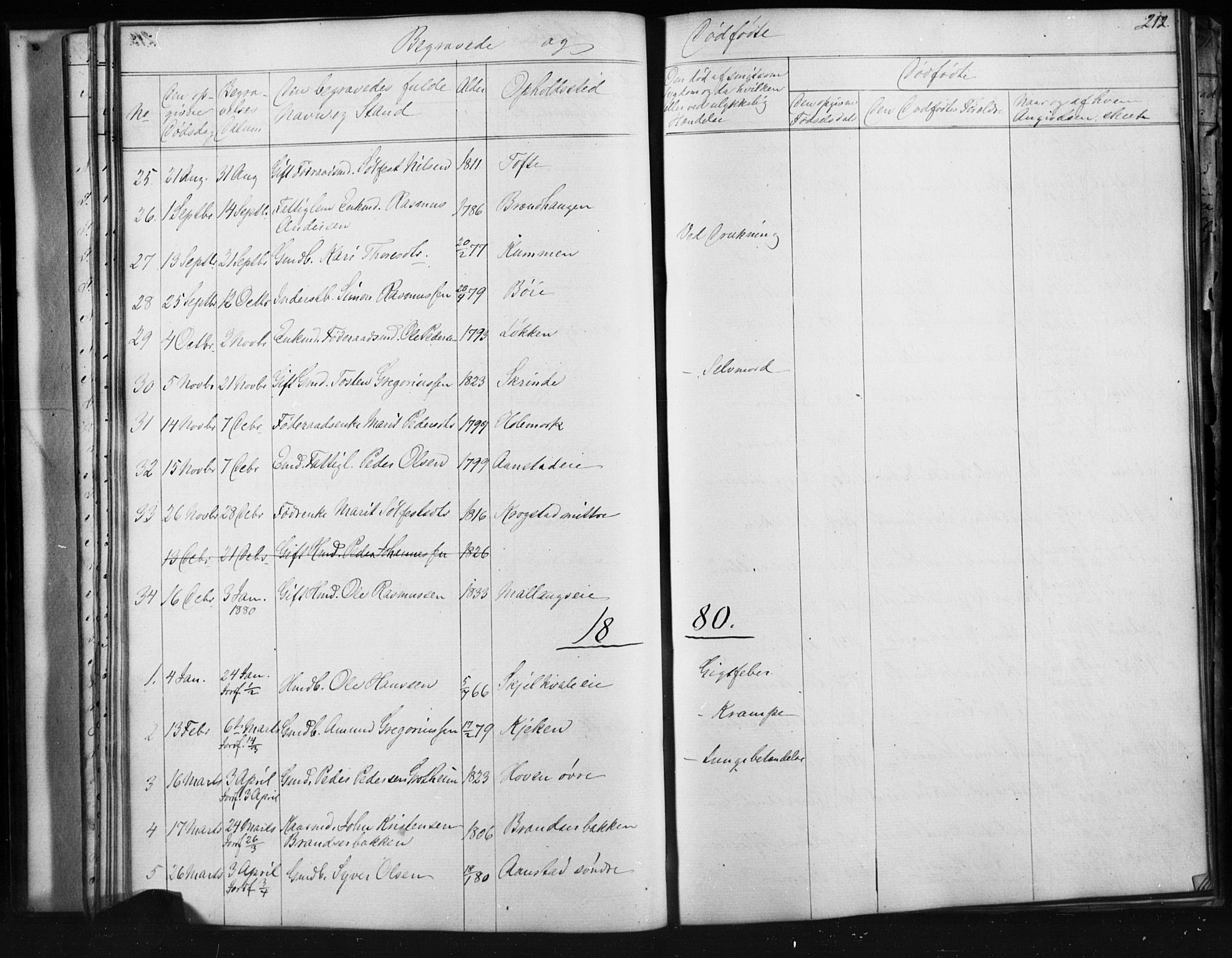 Skjåk prestekontor, SAH/PREST-072/H/Ha/Hab/L0001: Parish register (copy) no. 1, 1865-1893, p. 212