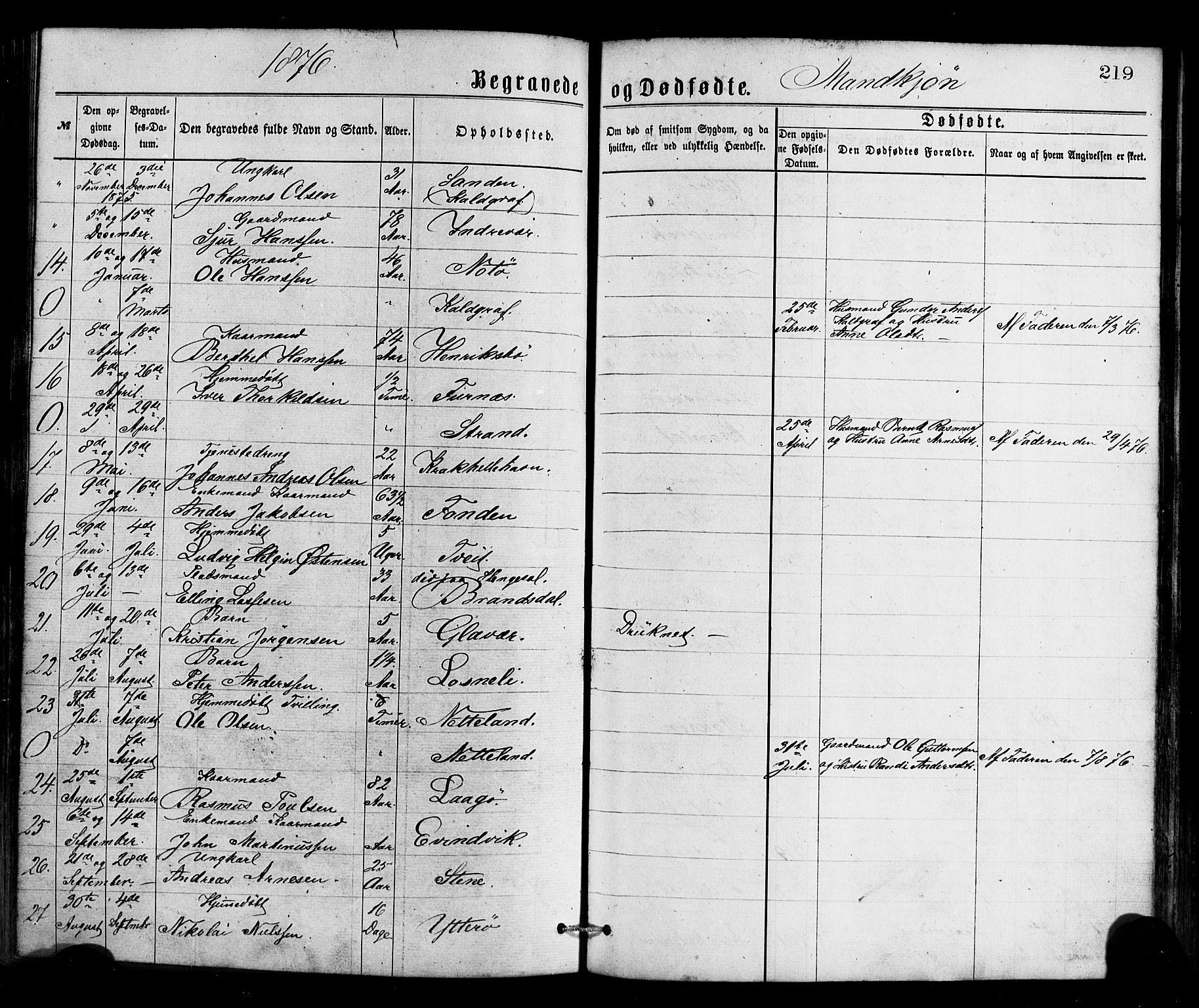 Gulen sokneprestembete, SAB/A-80201/H/Haa/Haaa/L0023: Parish register (official) no. A 23, 1870-1880, p. 219