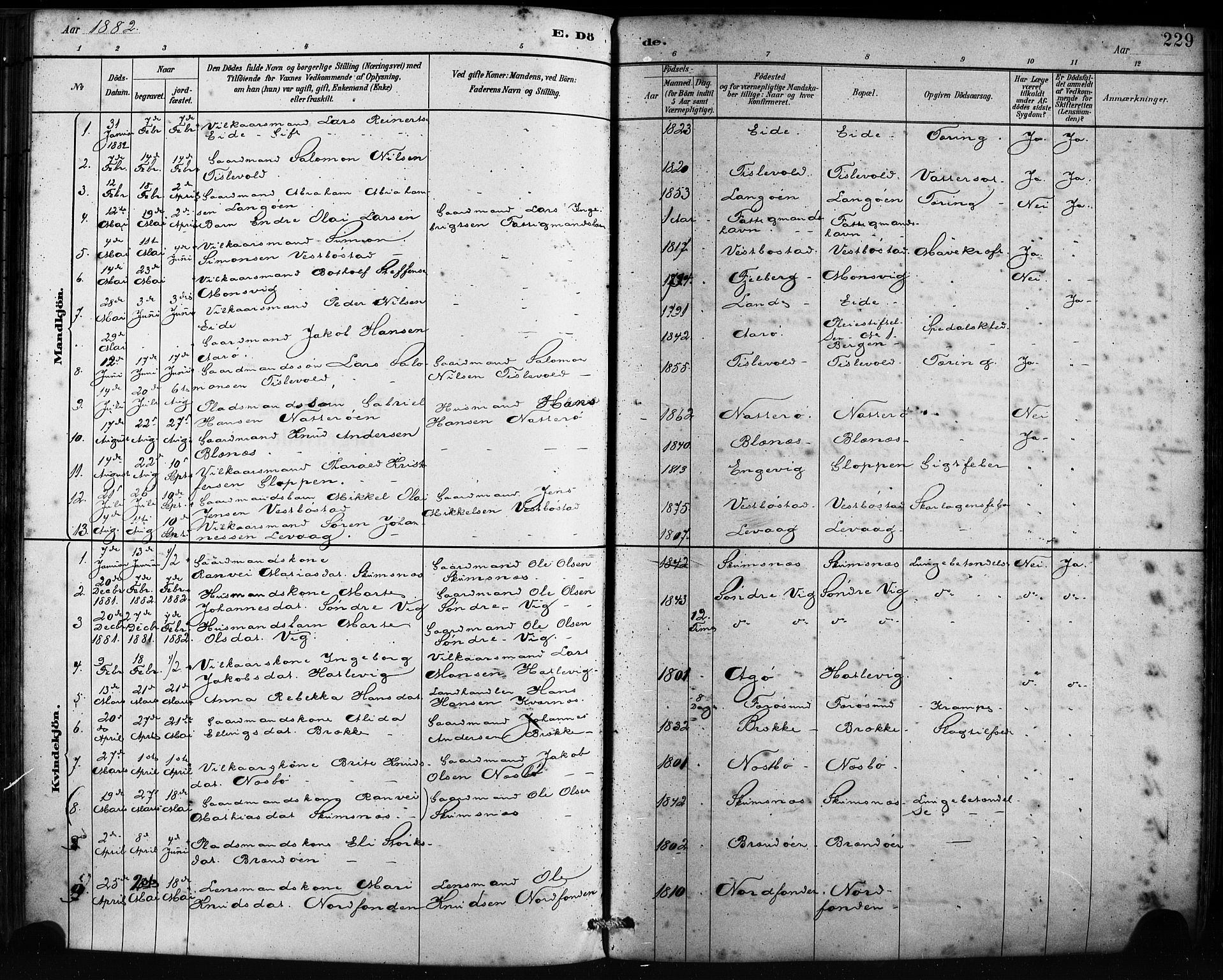 Fitjar sokneprestembete, SAB/A-99926: Parish register (official) no. A 2, 1882-1899, p. 229