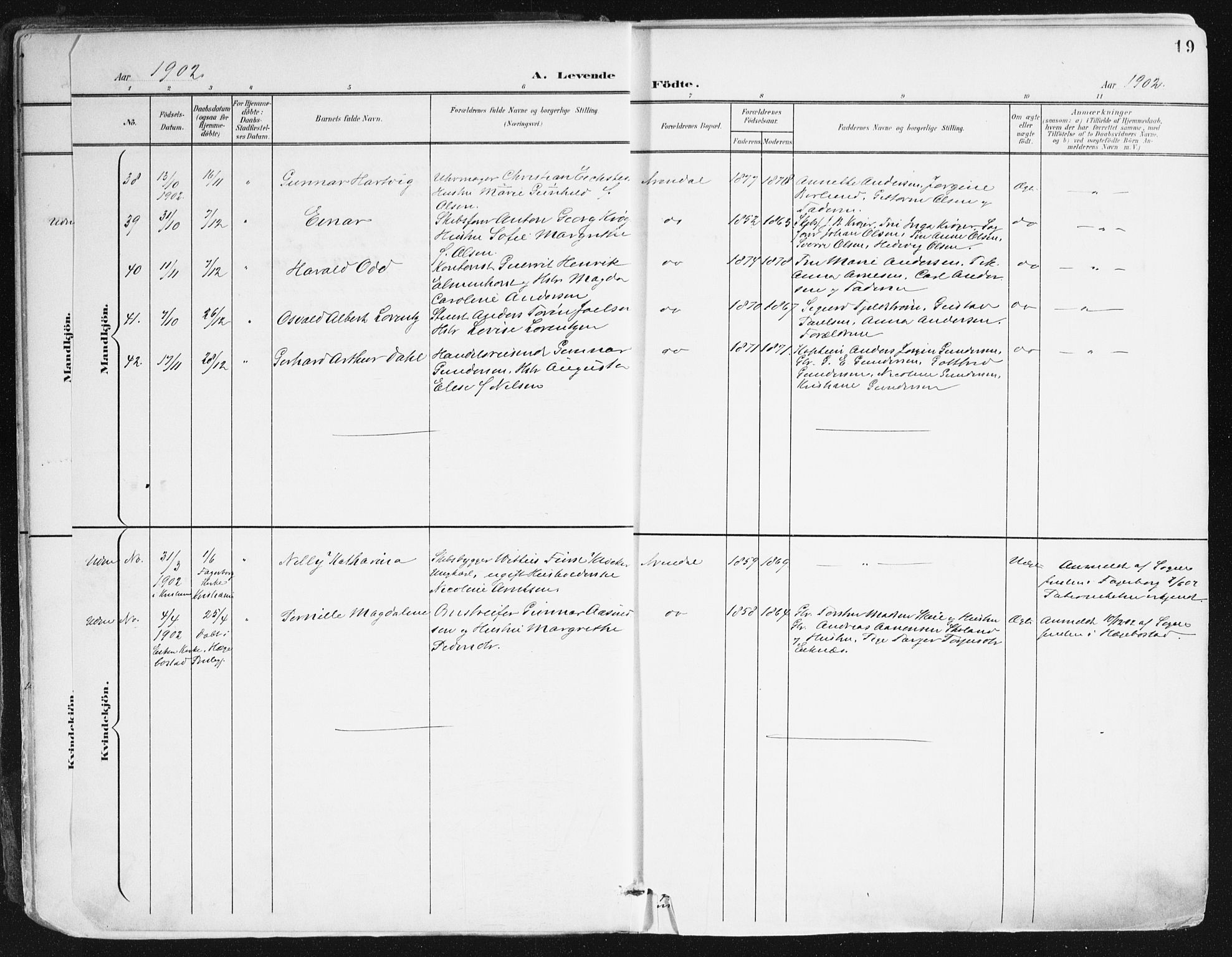 Arendal sokneprestkontor, Trefoldighet, AV/SAK-1111-0040/F/Fa/L0010: Parish register (official) no. A 10, 1900-1919, p. 19