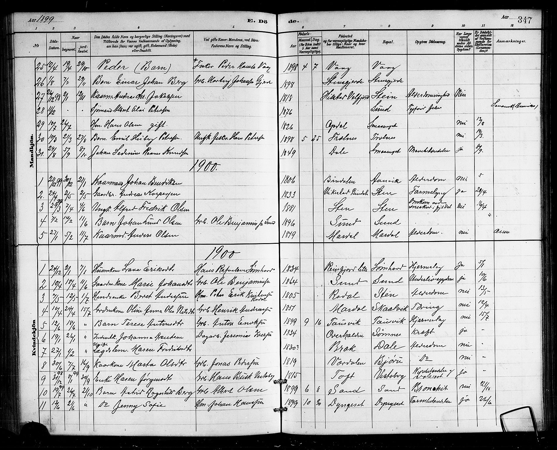 Ministerialprotokoller, klokkerbøker og fødselsregistre - Nordland, SAT/A-1459/812/L0188: Parish register (copy) no. 812C06, 1884-1912, p. 347