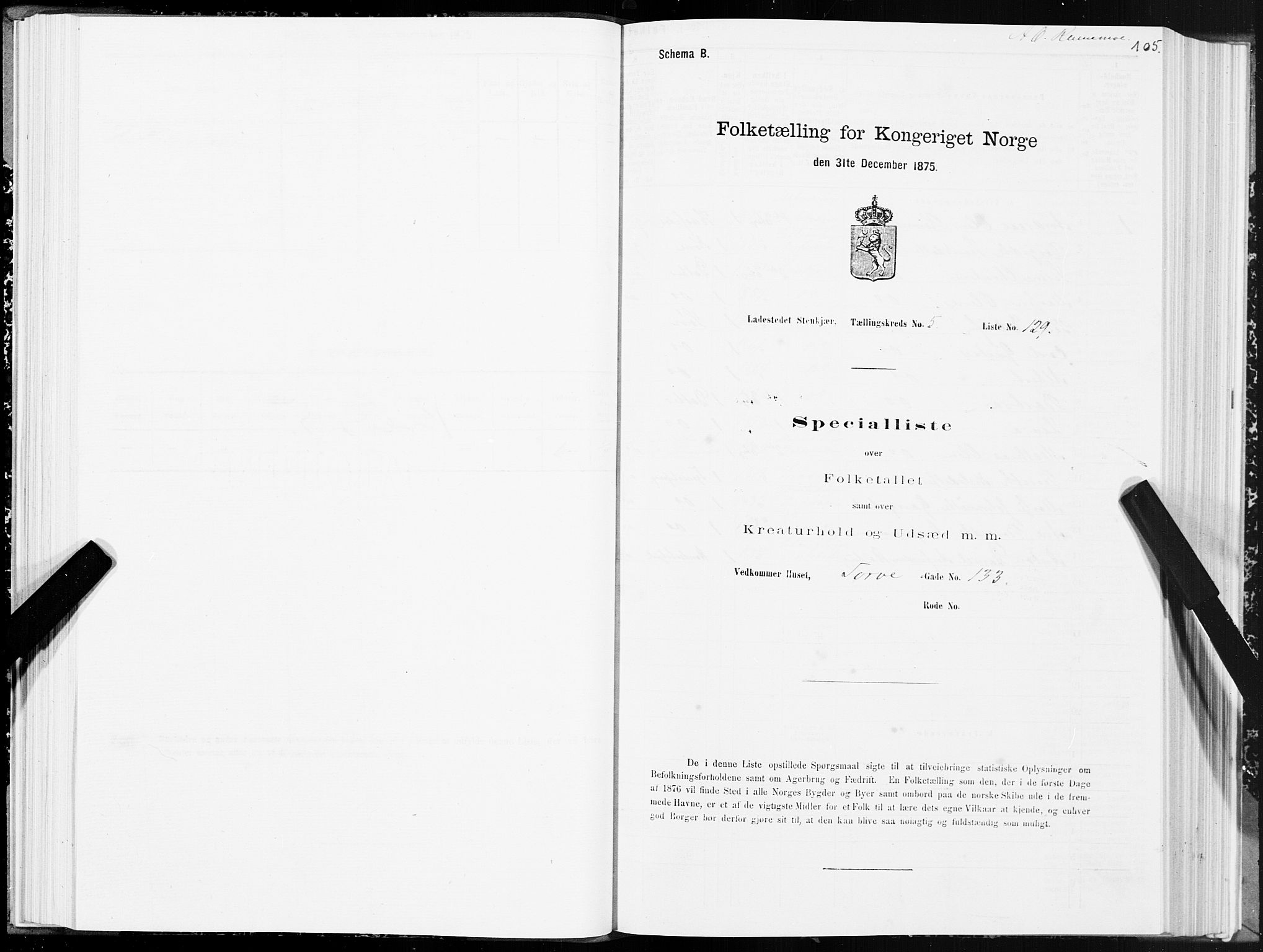 SAT, 1875 census for 1702B Steinkjer/Steinkjer, 1875, p. 105