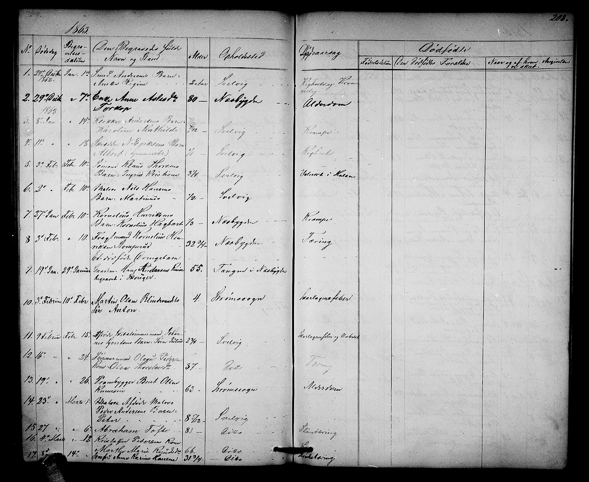 Strømm kirkebøker, AV/SAKO-A-322/G/Ga/L0001: Parish register (copy) no. I 1, 1861-1885, p. 203