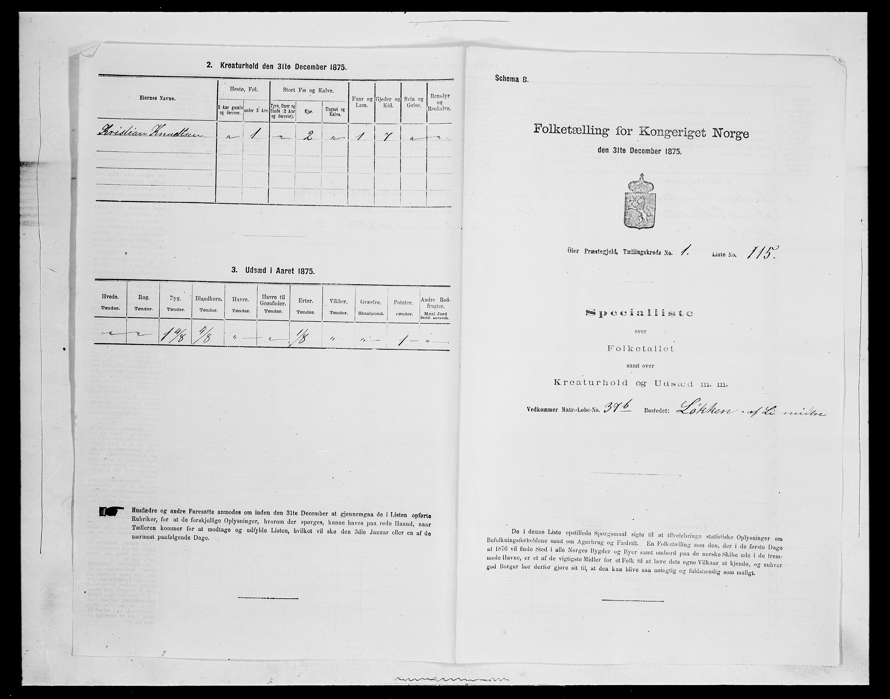 SAH, 1875 census for 0521P Øyer, 1875, p. 319