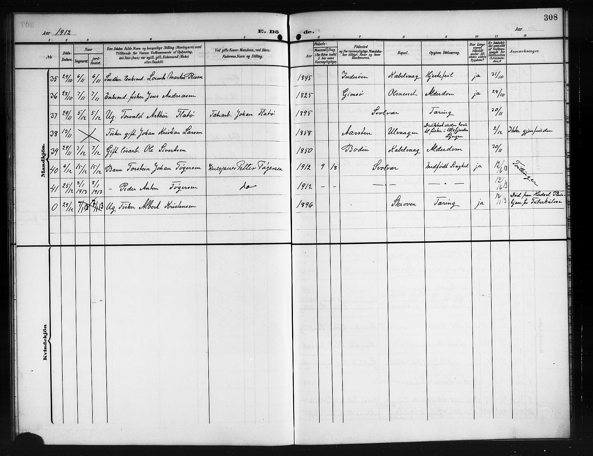 Ministerialprotokoller, klokkerbøker og fødselsregistre - Nordland, AV/SAT-A-1459/874/L1079: Parish register (copy) no. 874C08, 1907-1915, p. 308