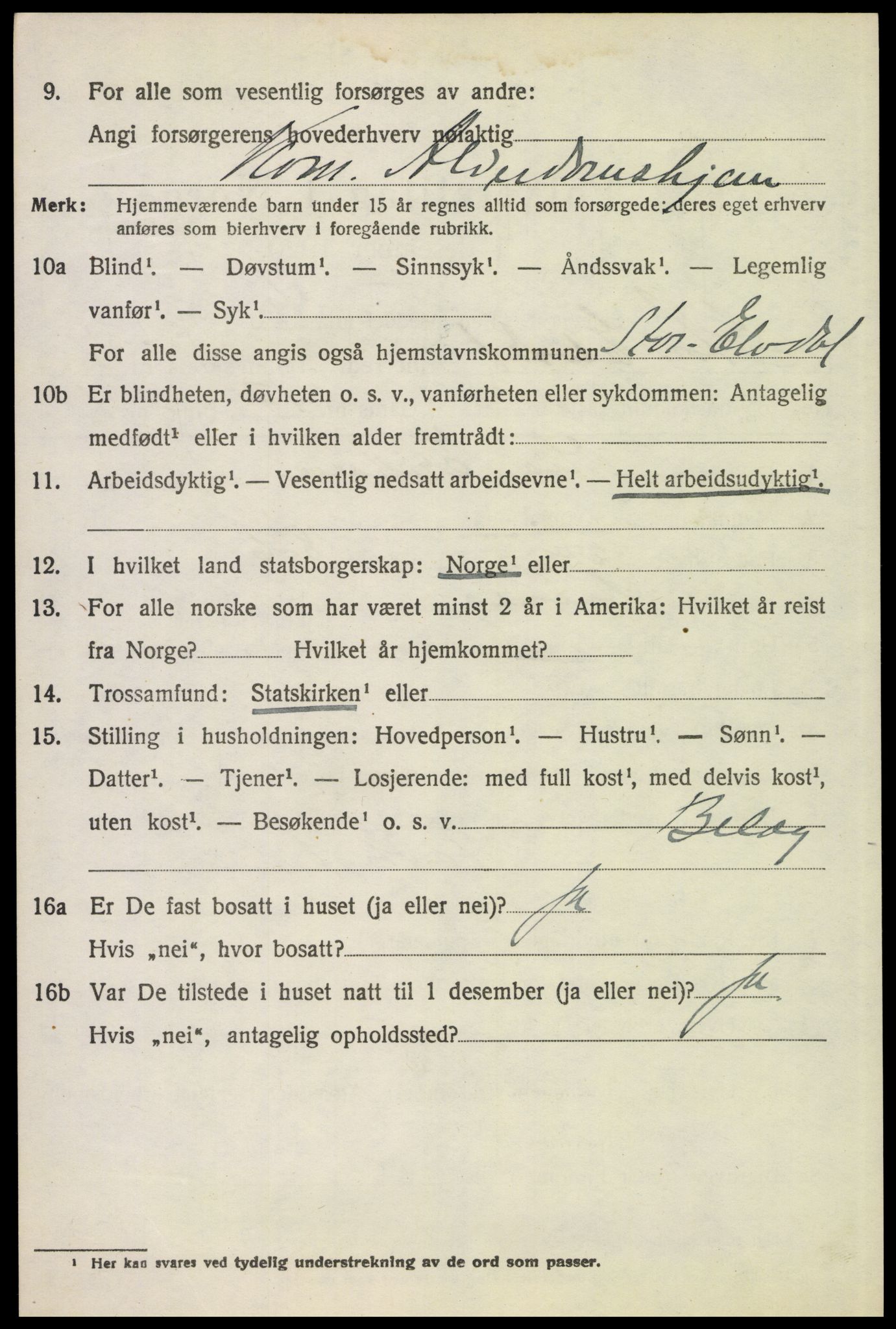 SAH, 1920 census for Stor-Elvdal, 1920, p. 6127