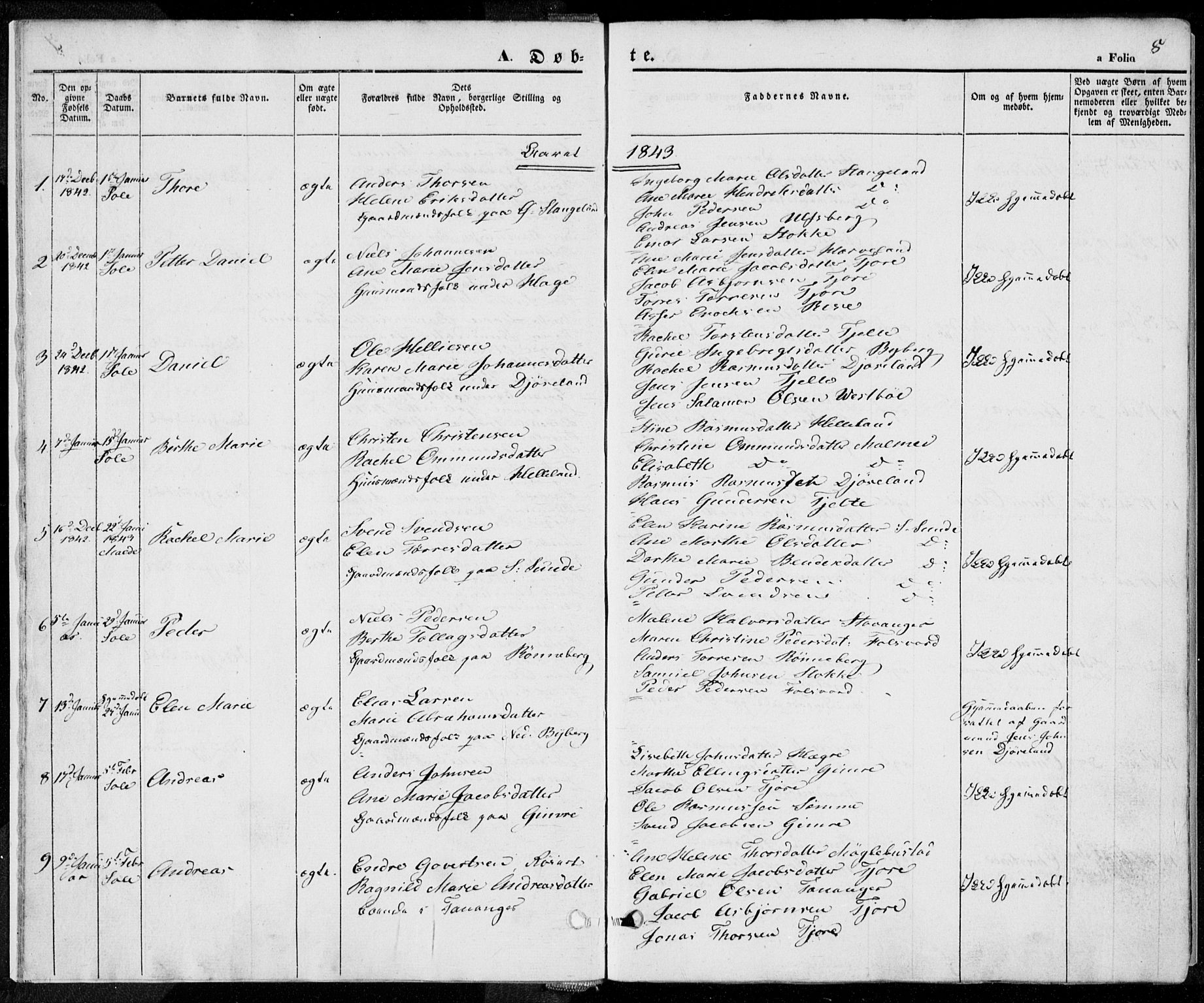 Håland sokneprestkontor, SAST/A-101802/001/30BA/L0006: Parish register (official) no. A 6, 1842-1853, p. 8