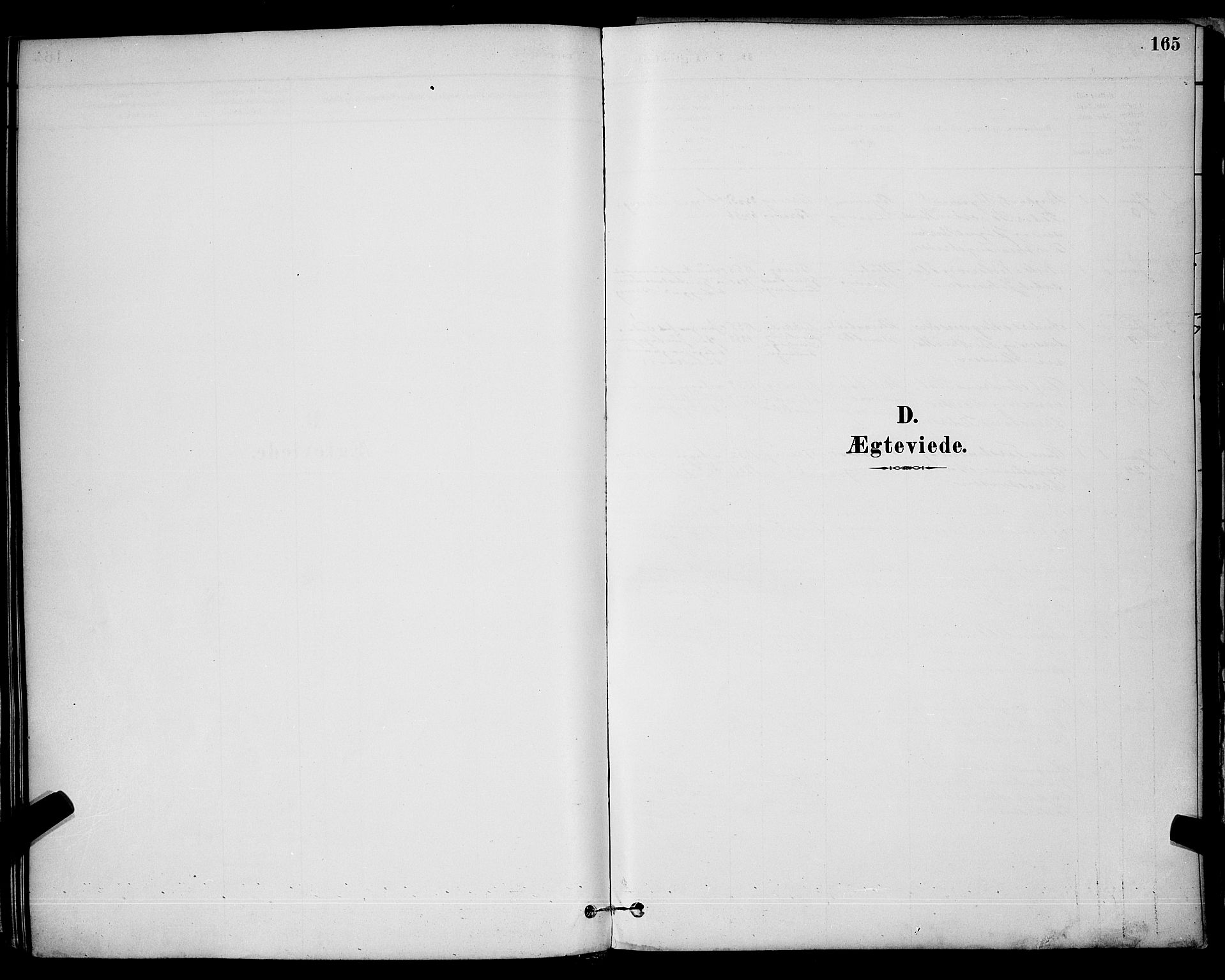 Brevik kirkebøker, SAKO/A-255/G/Ga/L0004: Parish register (copy) no. 4, 1882-1900, p. 165