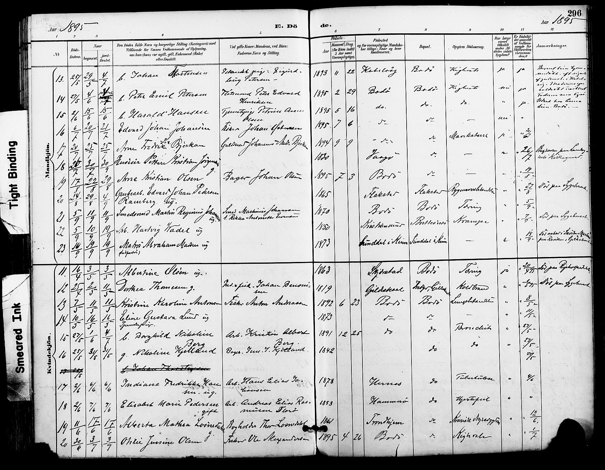 Ministerialprotokoller, klokkerbøker og fødselsregistre - Nordland, AV/SAT-A-1459/801/L0010: Parish register (official) no. 801A10, 1888-1899, p. 296