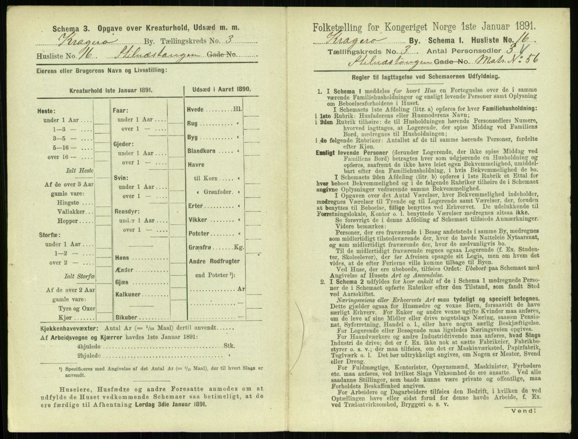 RA, 1891 census for 0801 Kragerø, 1891, p. 366