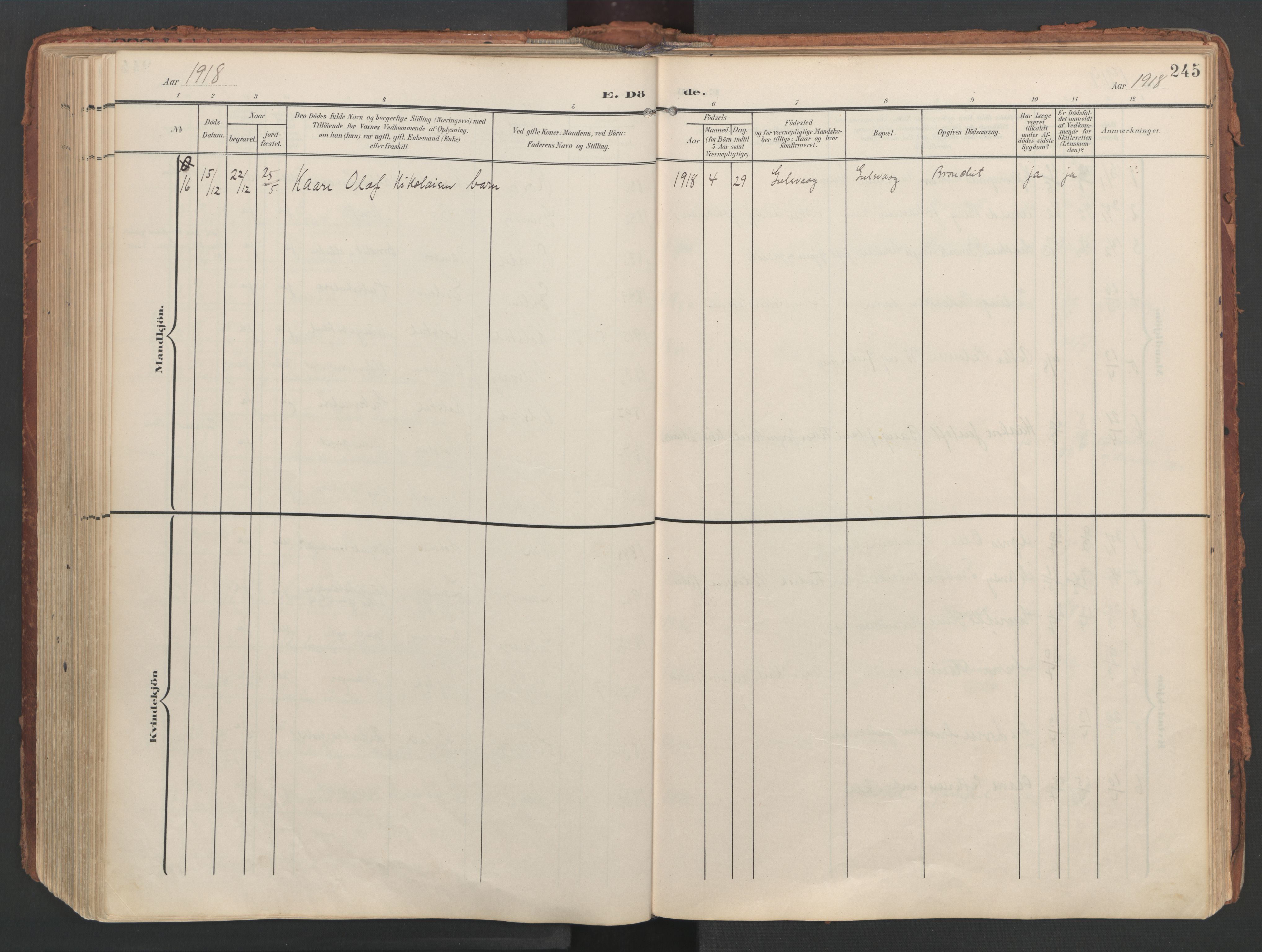 Ministerialprotokoller, klokkerbøker og fødselsregistre - Nordland, AV/SAT-A-1459/816/L0250: Parish register (official) no. 816A16, 1903-1923, p. 245