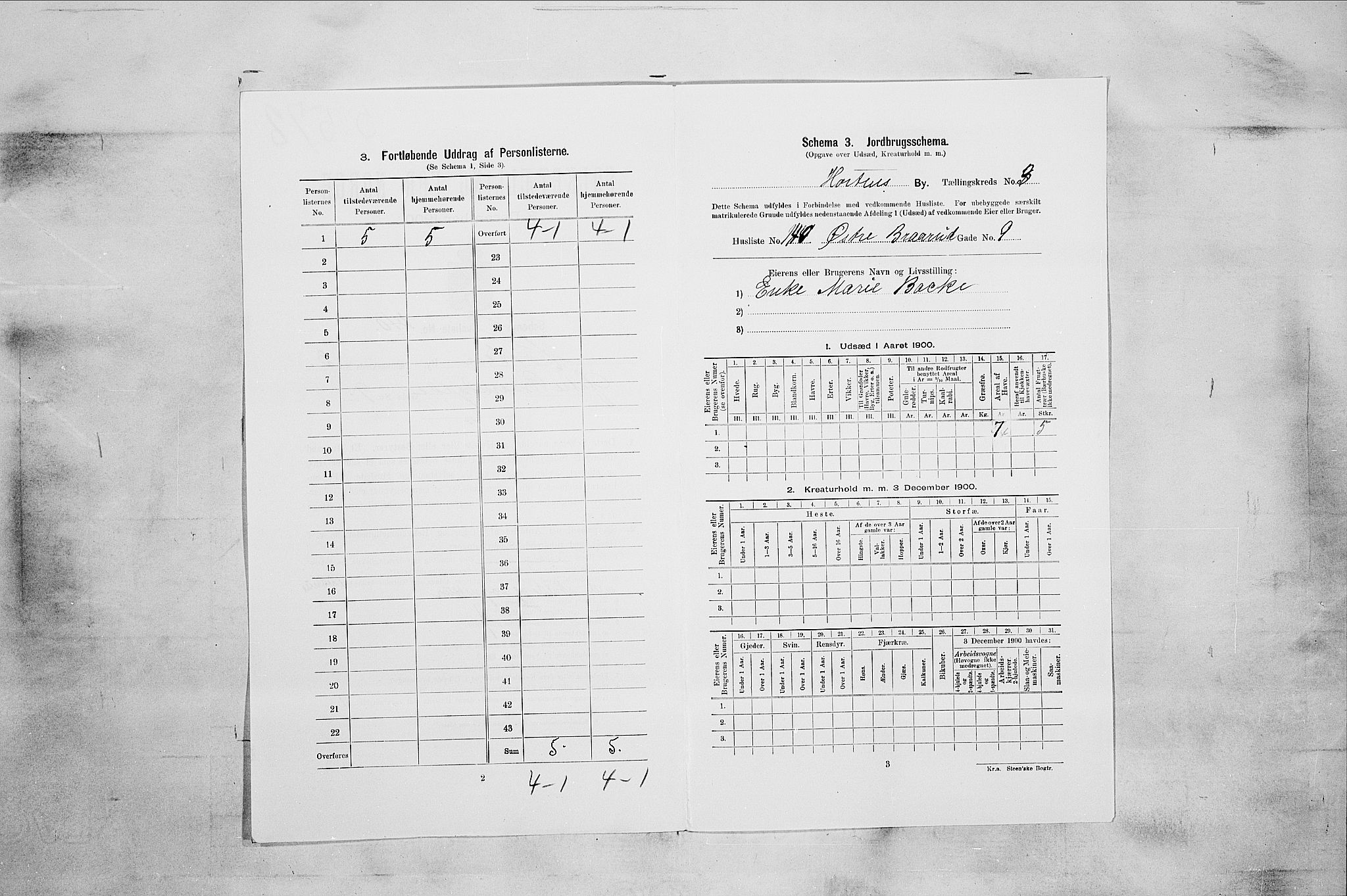 RA, 1900 census for Horten, 1900, p. 5271