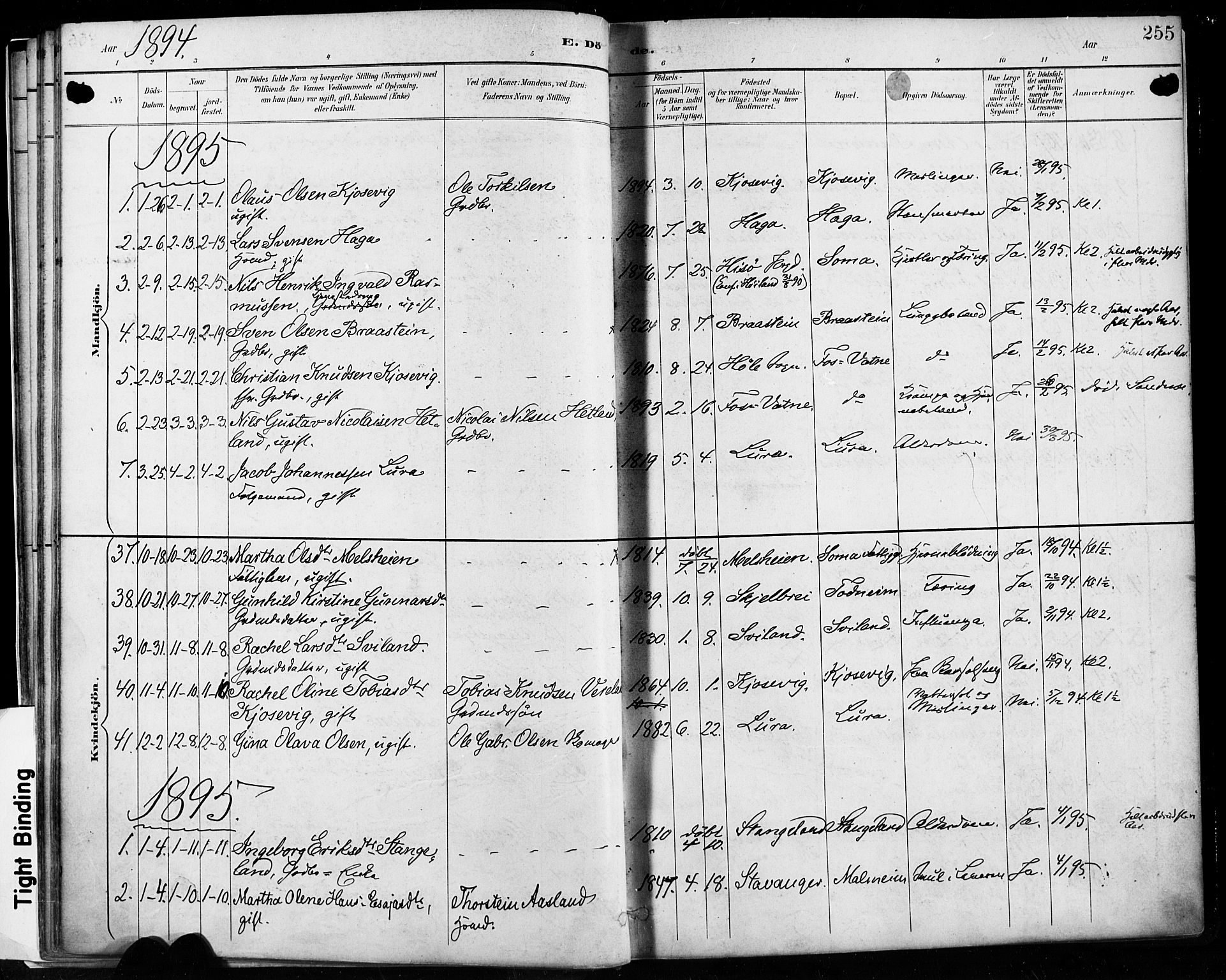 Høyland sokneprestkontor, SAST/A-101799/001/30BA/L0013: Parish register (official) no. A 13.2, 1889-1898, p. 255