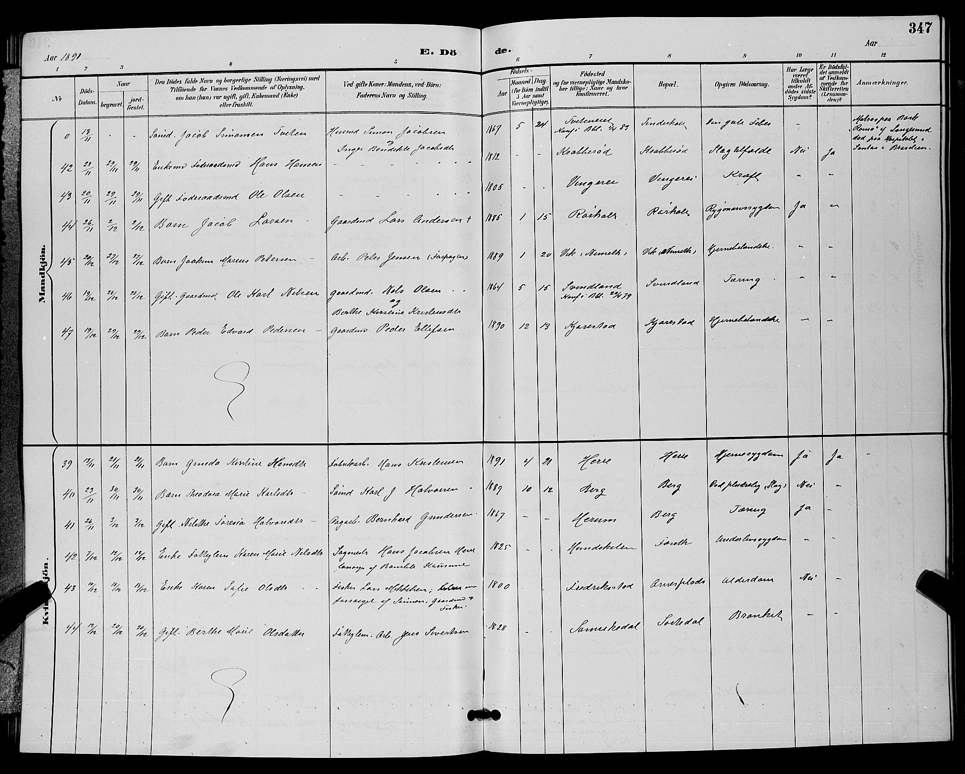 Bamble kirkebøker, AV/SAKO-A-253/G/Ga/L0009: Parish register (copy) no. I 9, 1888-1900, p. 347