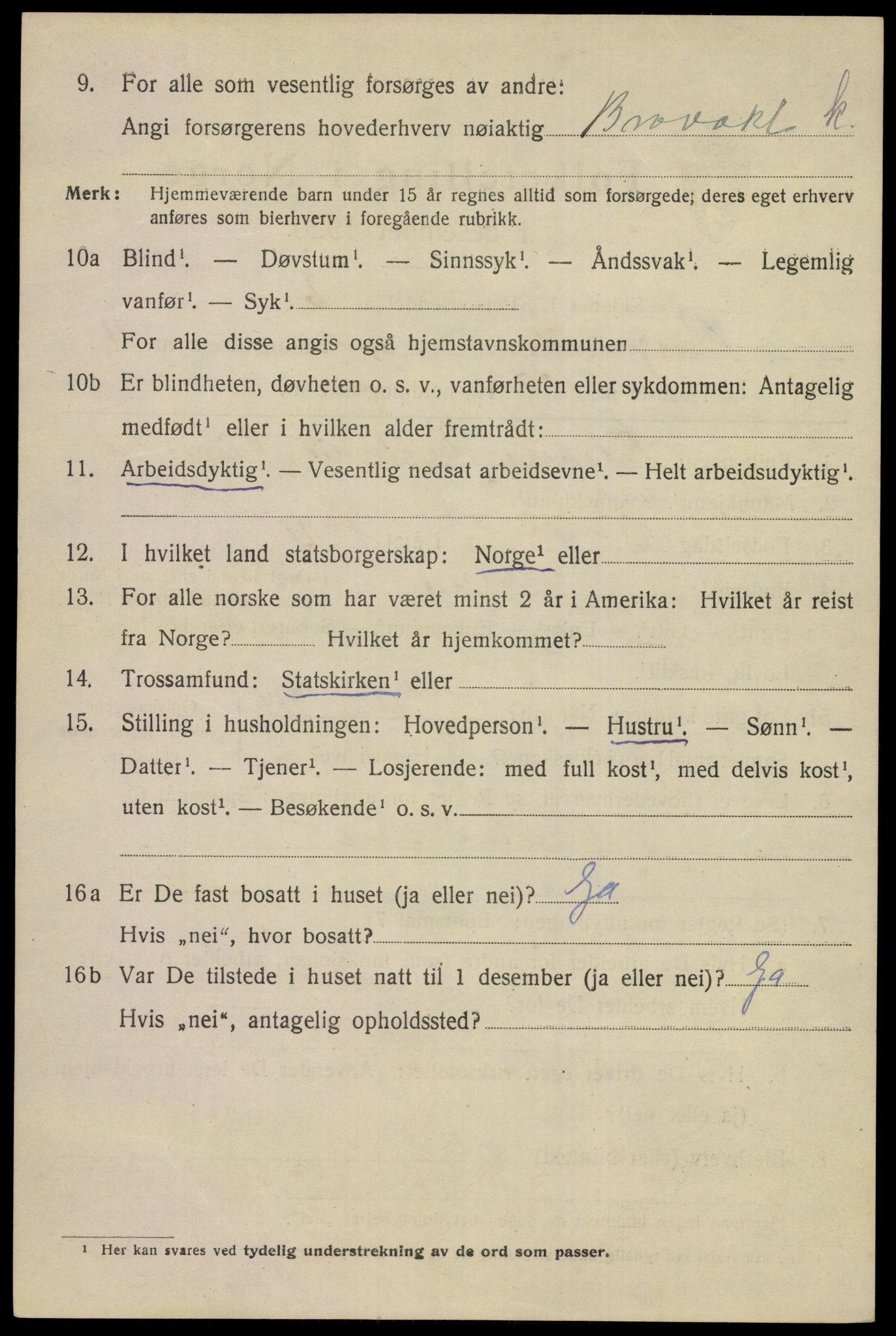 SAKO, 1920 census for Porsgrunn, 1920, p. 19926