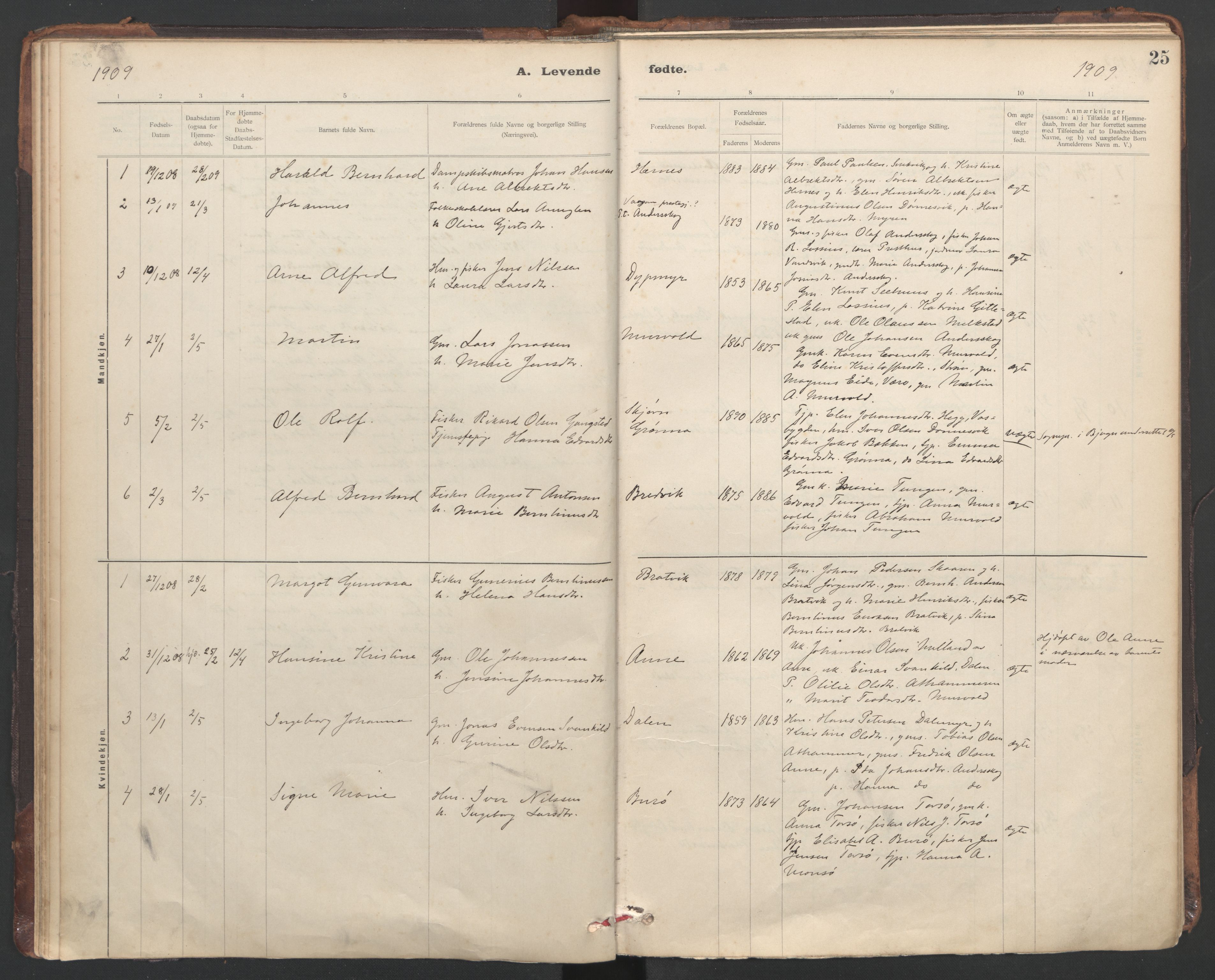 Ministerialprotokoller, klokkerbøker og fødselsregistre - Sør-Trøndelag, SAT/A-1456/635/L0552: Parish register (official) no. 635A02, 1899-1919, p. 25