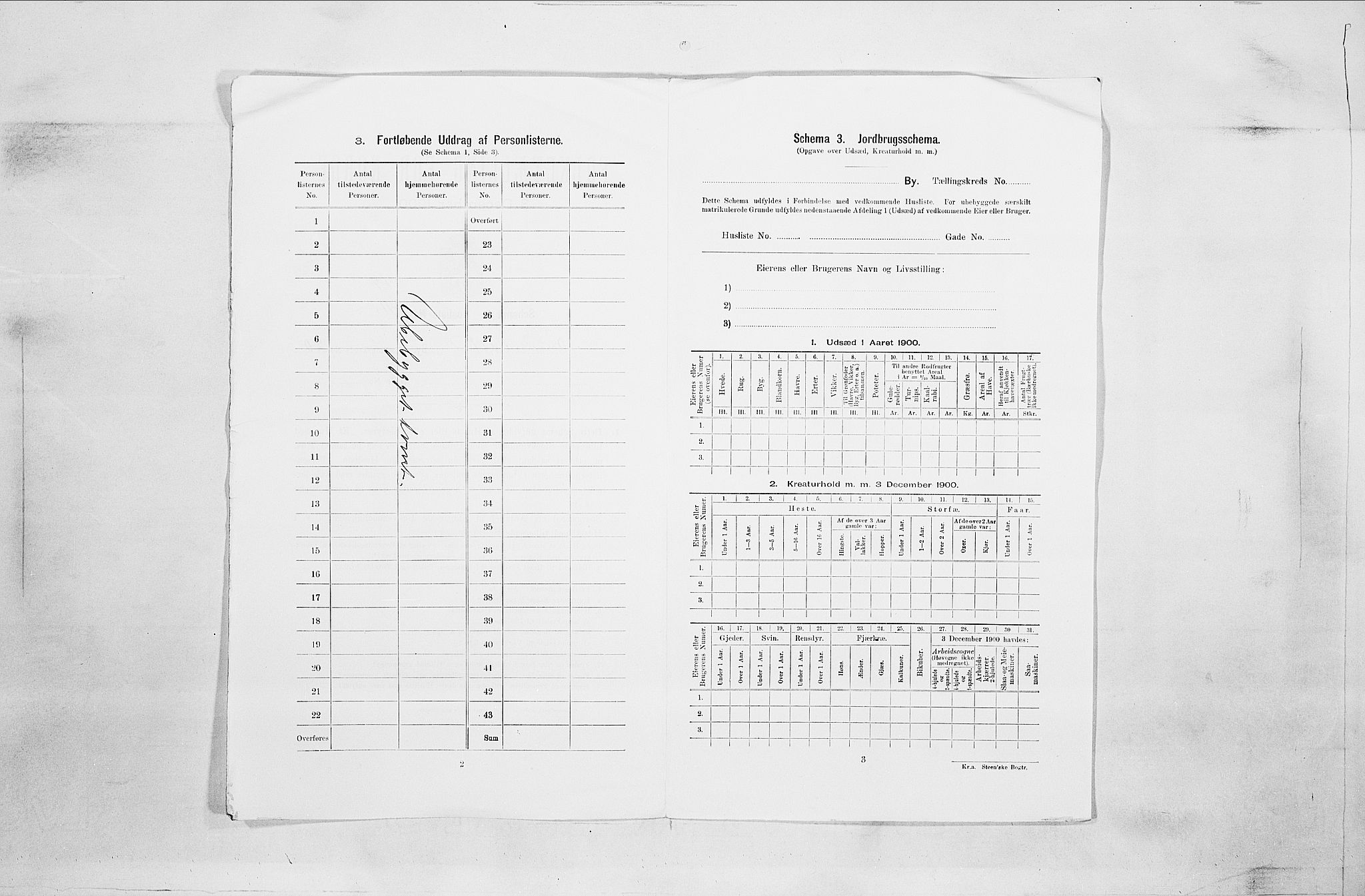 SAO, 1900 census for Fredrikstad, 1900