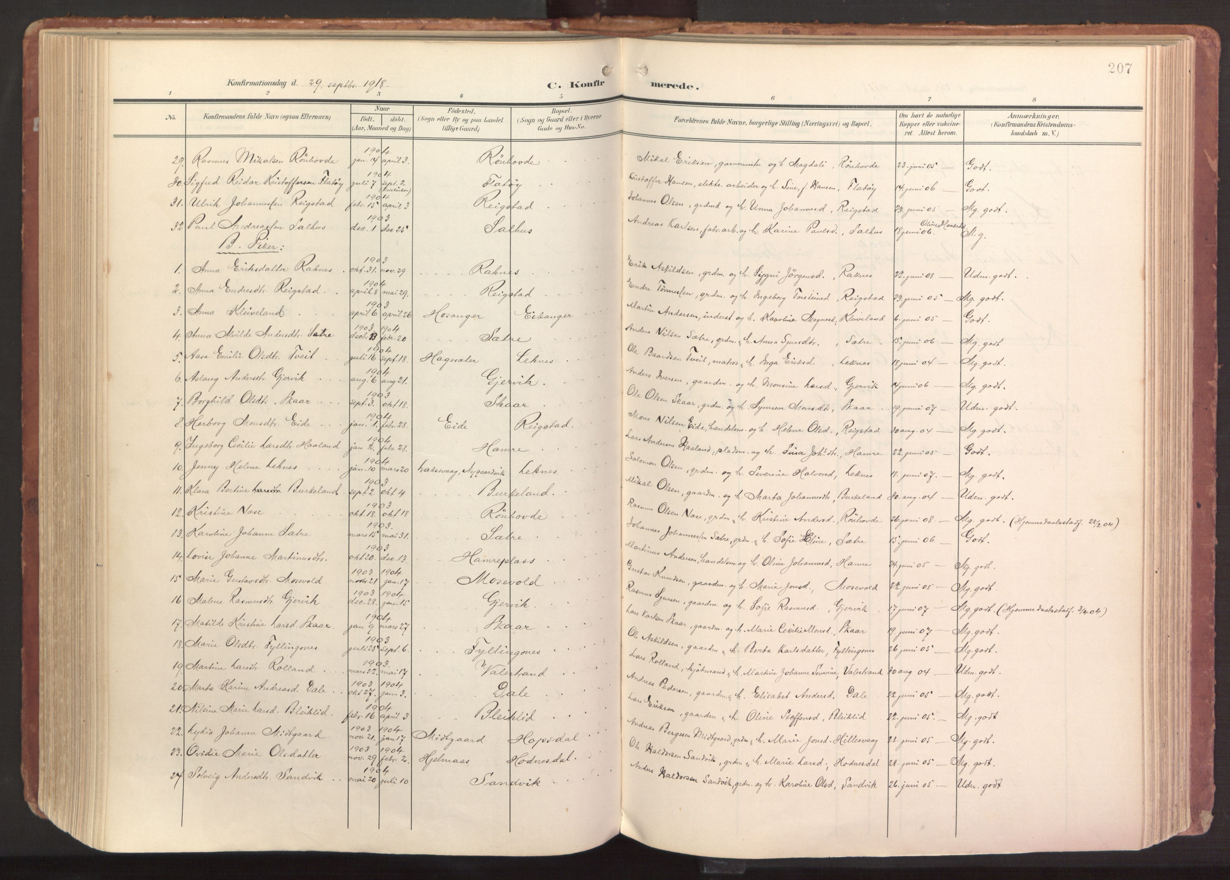 Hamre sokneprestembete, AV/SAB-A-75501/H/Ha/Haa/Haab/L0002: Parish register (official) no. B 2, 1905-1924, p. 207