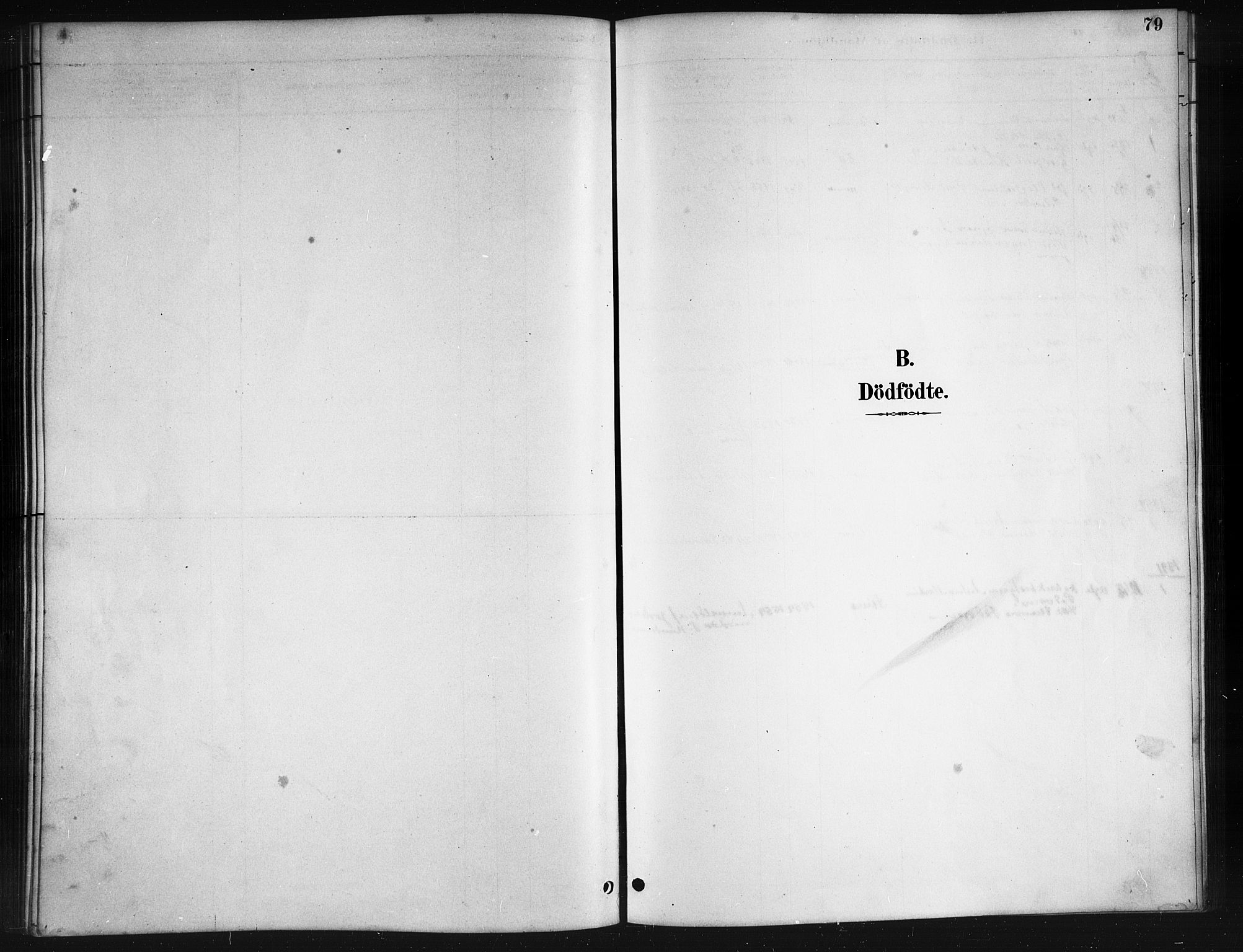 Ministerialprotokoller, klokkerbøker og fødselsregistre - Nordland, SAT/A-1459/895/L1382: Parish register (copy) no. 895C04, 1885-1896, p. 79