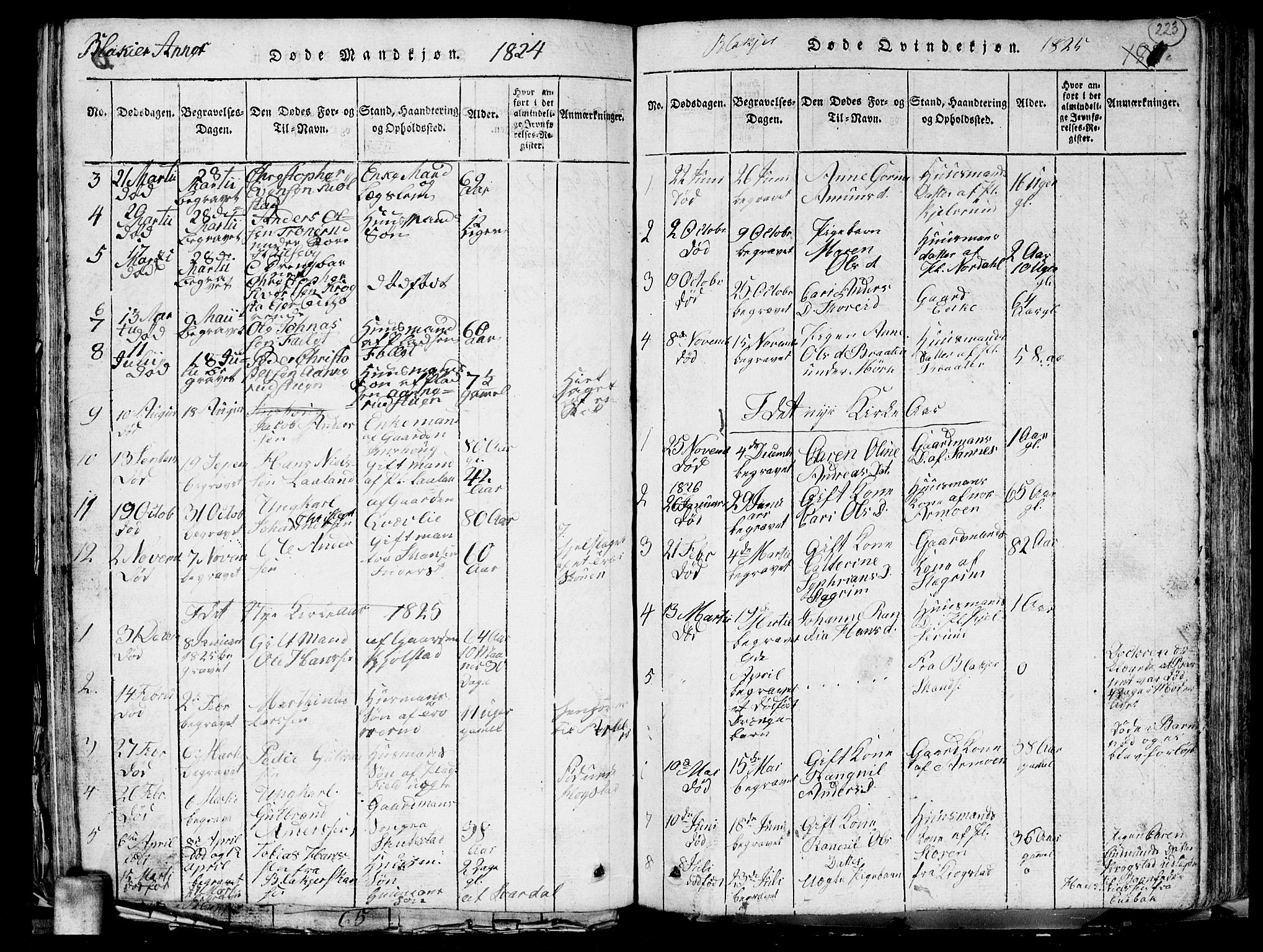Aurskog prestekontor Kirkebøker, SAO/A-10304a/G/Ga/L0001: Parish register (copy) no. I 1, 1814-1829, p. 223