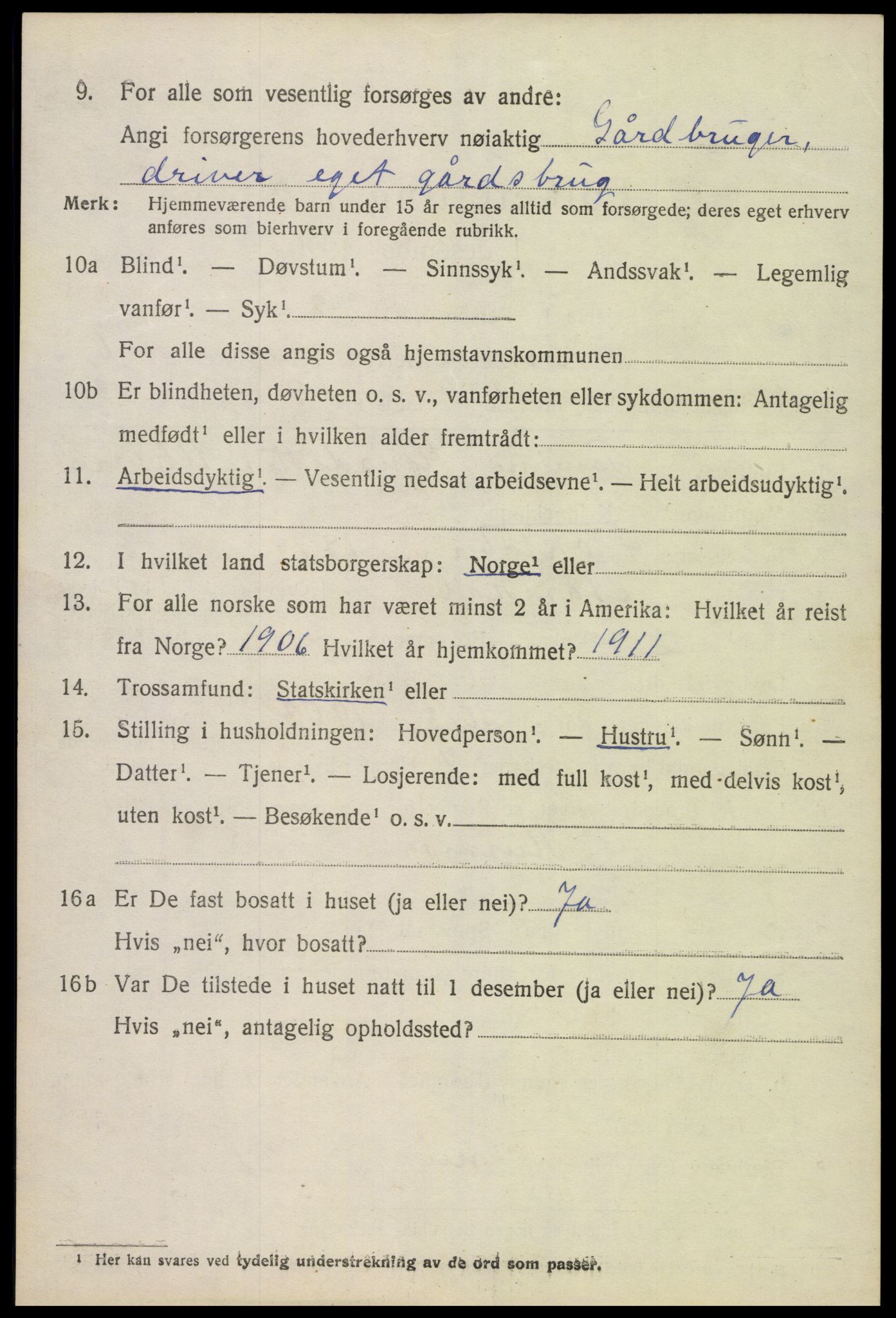 SAK, 1920 census for Hornnes, 1920, p. 1590