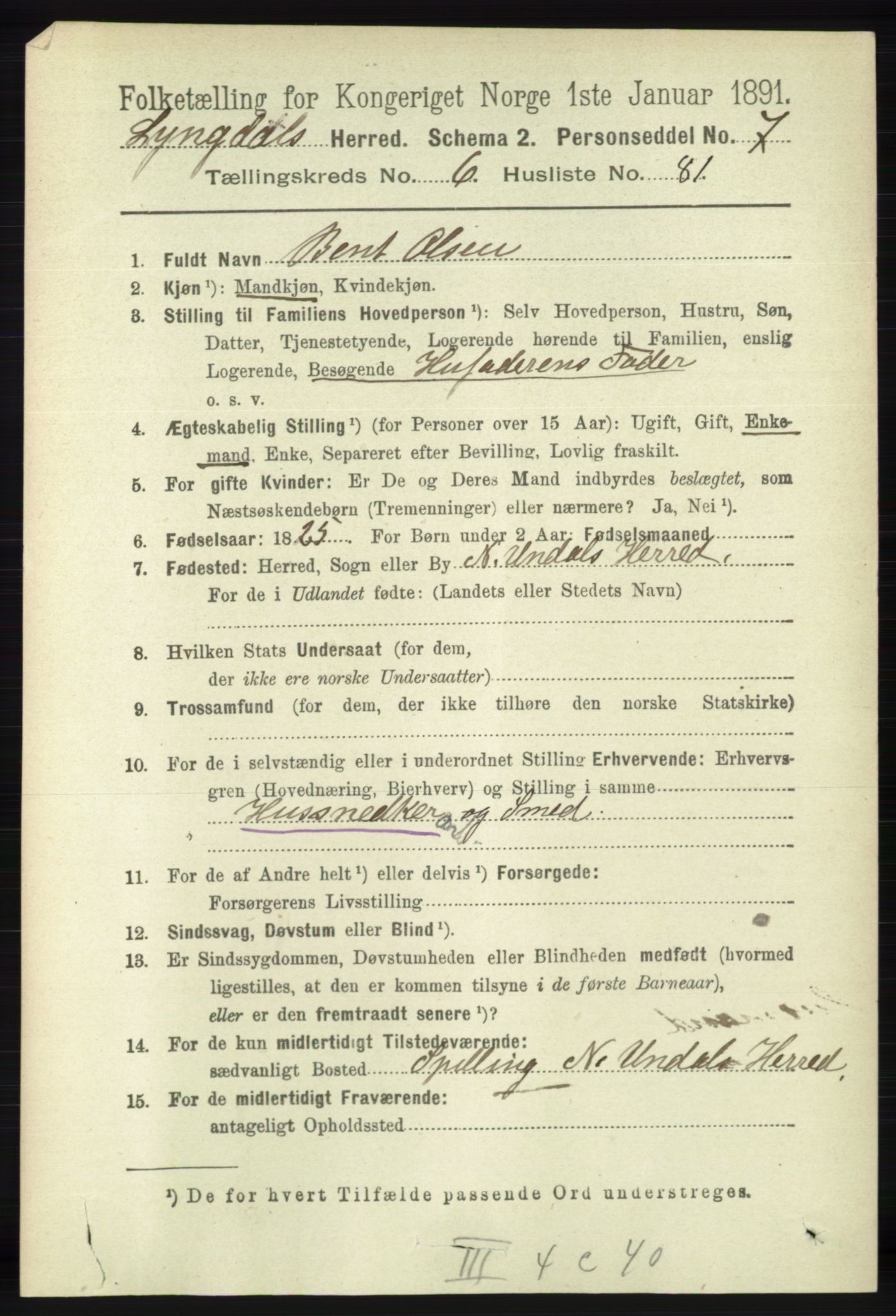 RA, 1891 census for 1032 Lyngdal, 1891, p. 2828