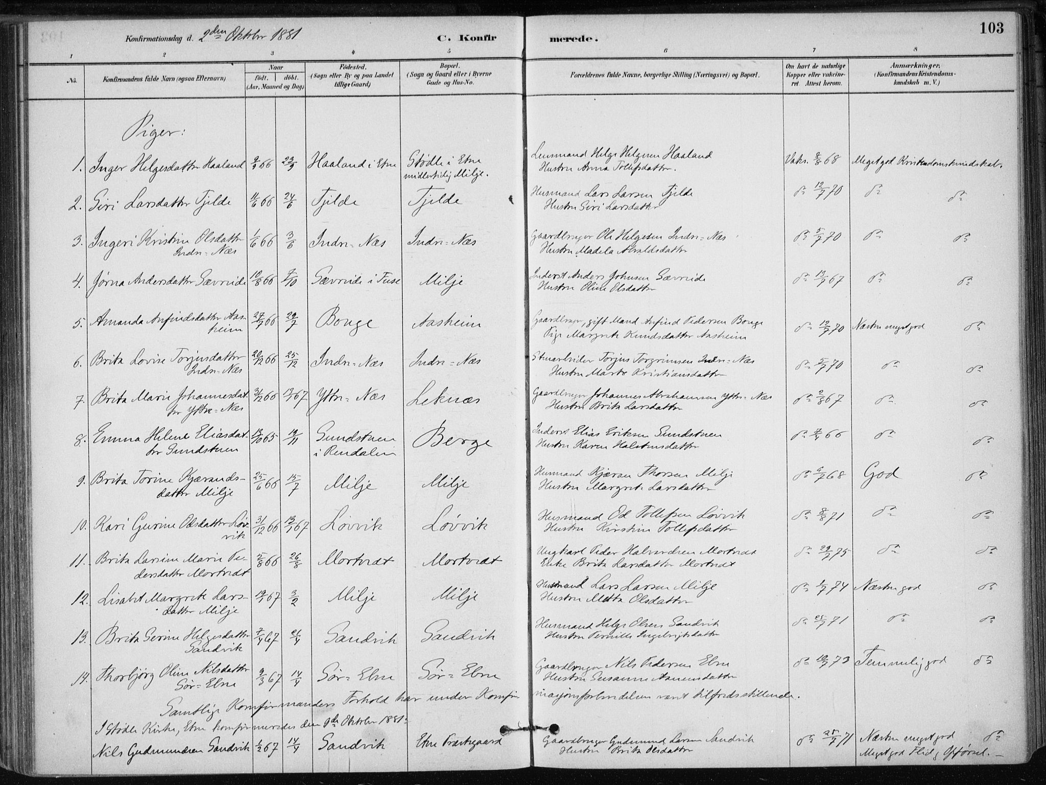 Skånevik sokneprestembete, AV/SAB-A-77801/H/Haa: Parish register (official) no. B 1, 1879-1914, p. 103