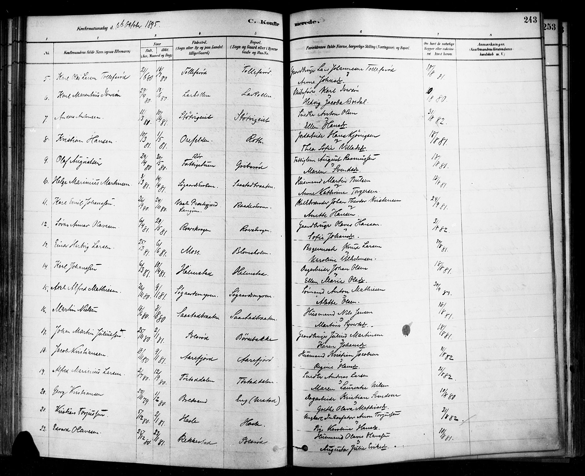 Rygge prestekontor Kirkebøker, SAO/A-10084b/F/Fa/L0007: Parish register (official) no. 7, 1878-1904, p. 243