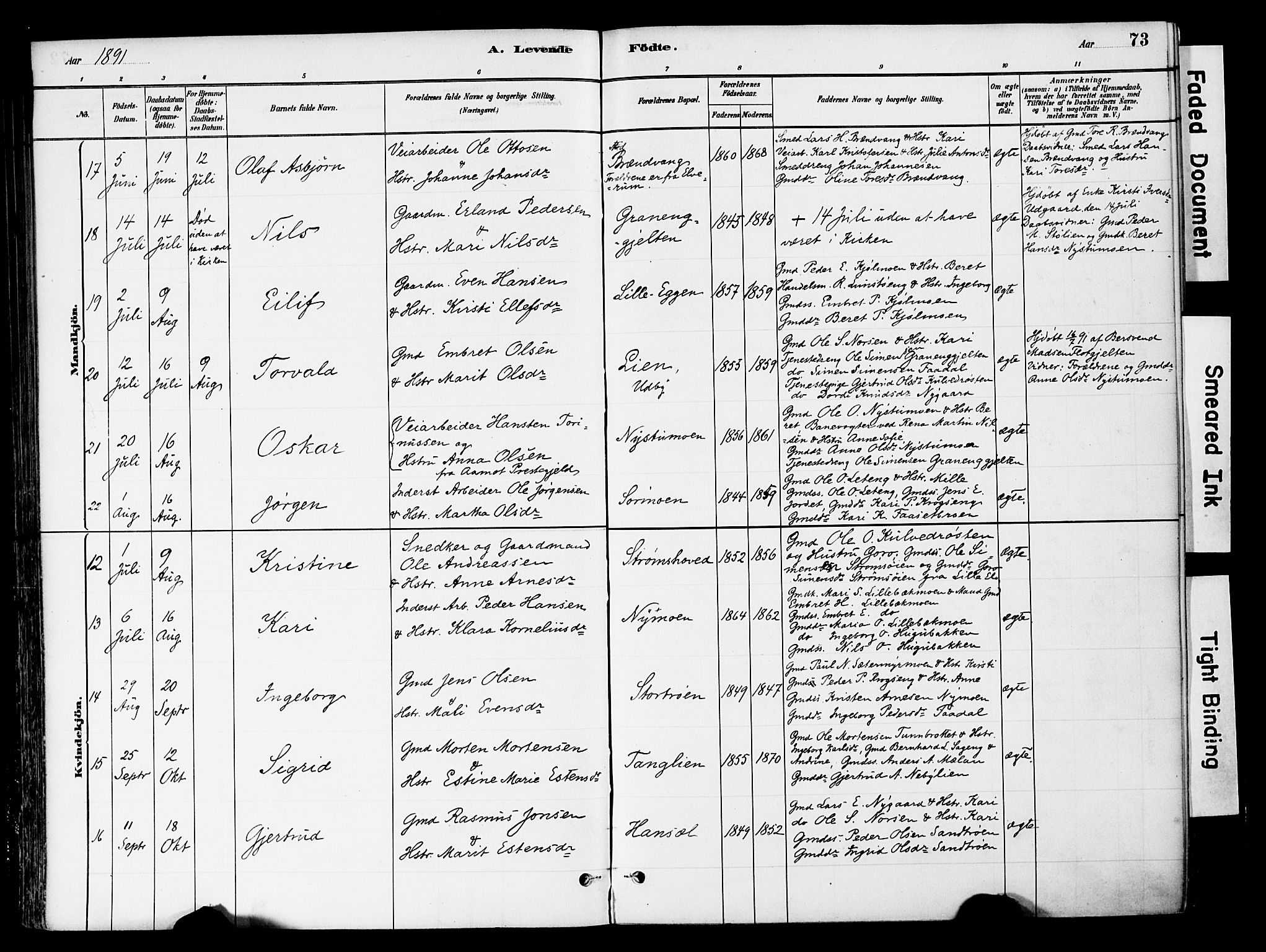 Tynset prestekontor, AV/SAH-PREST-058/H/Ha/Haa/L0022: Parish register (official) no. 22, 1880-1899, p. 73