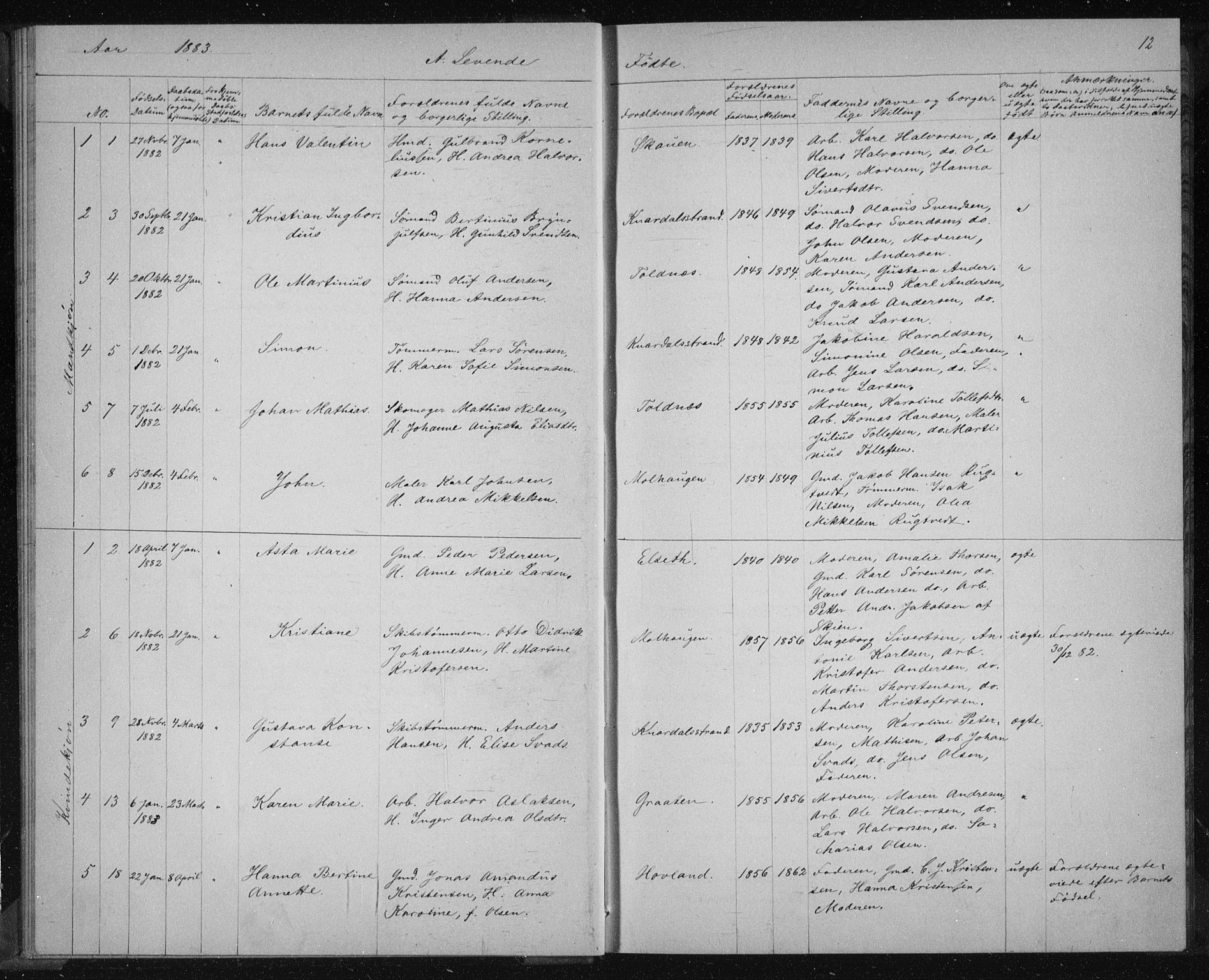 Solum kirkebøker, SAKO/A-306/G/Ga/L0006: Parish register (copy) no. I 6, 1882-1883, p. 12
