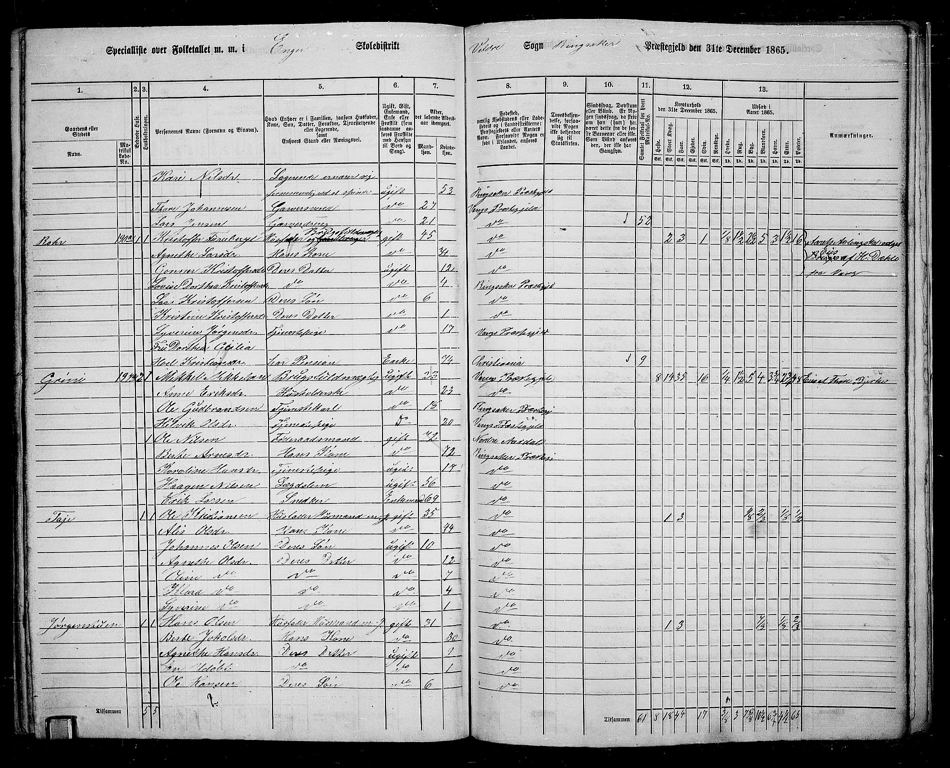 RA, 1865 census for Ringsaker, 1865, p. 247