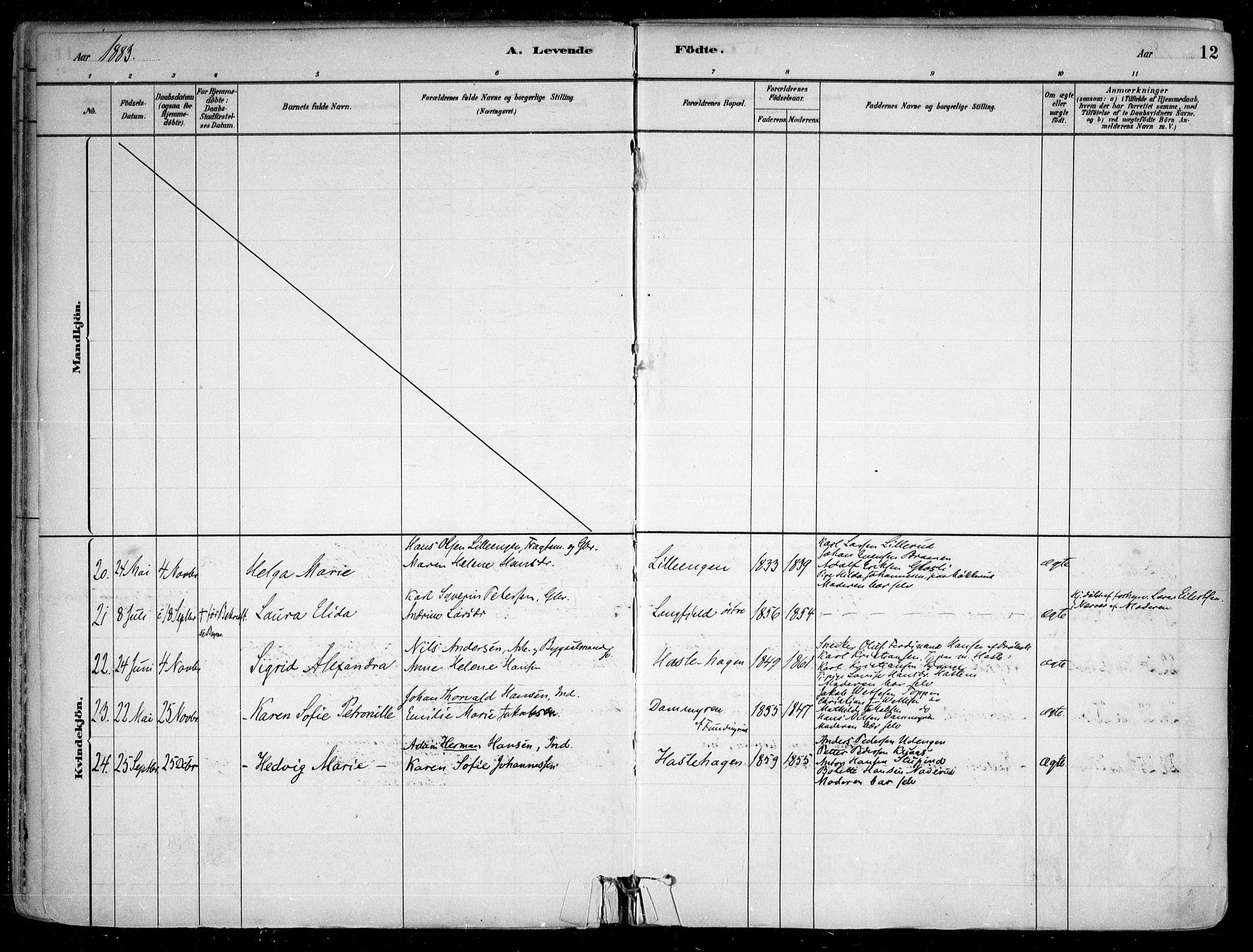 Nesodden prestekontor Kirkebøker, SAO/A-10013/F/Fa/L0009: Parish register (official) no. I 9, 1880-1915, p. 12