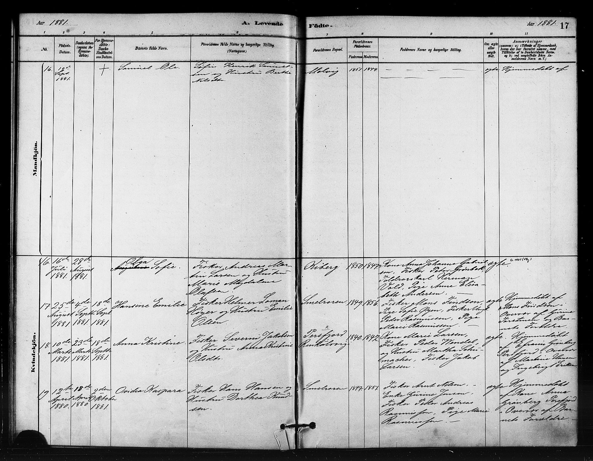 Vardø sokneprestkontor, AV/SATØ-S-1332/H/Ha/L0008kirke: Parish register (official) no. 8, 1879-1887, p. 17