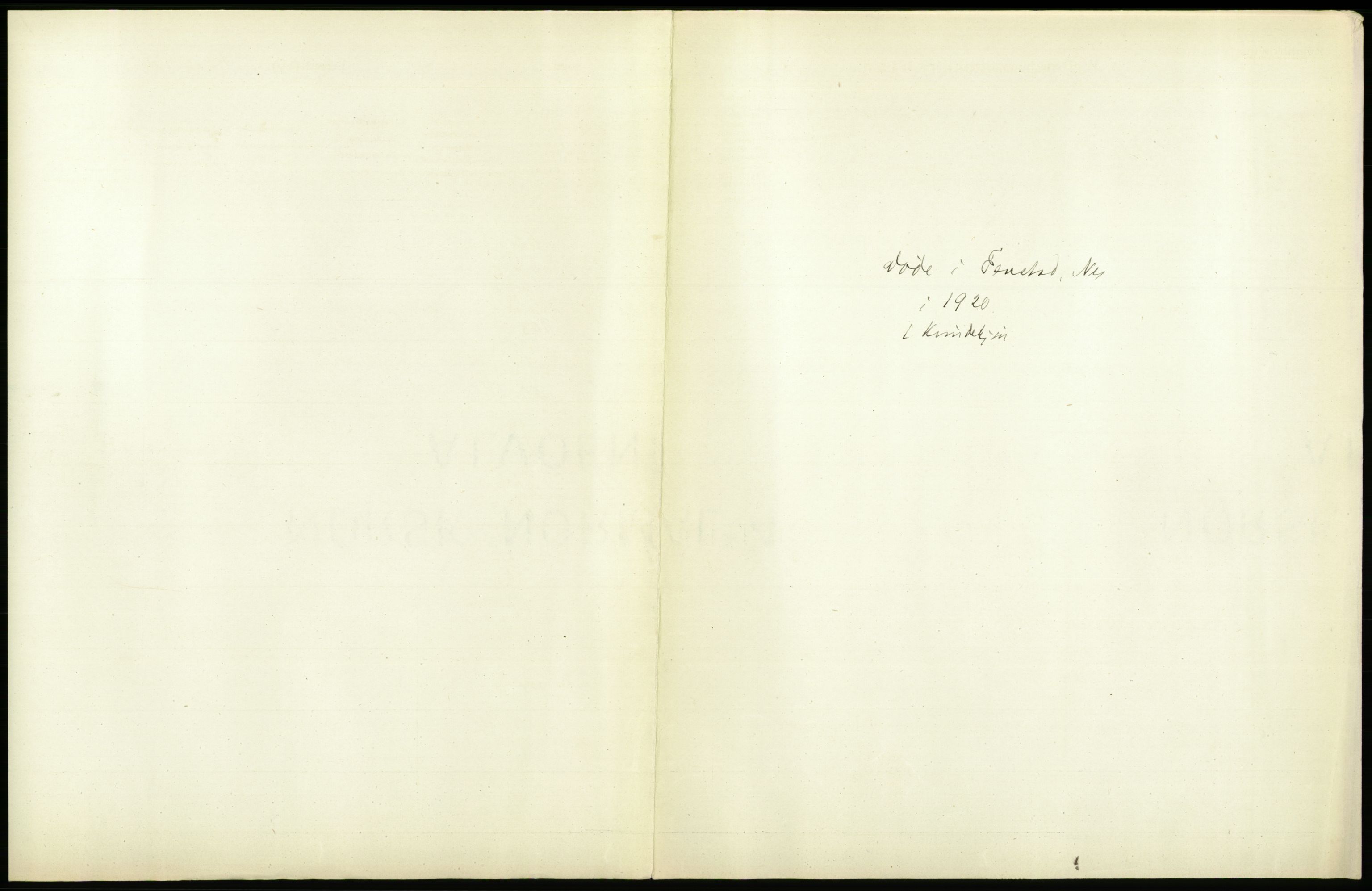 Statistisk sentralbyrå, Sosiodemografiske emner, Befolkning, AV/RA-S-2228/D/Df/Dfb/Dfbj/L0007: Akershus fylke: Døde. Bygder og byer., 1920, p. 451