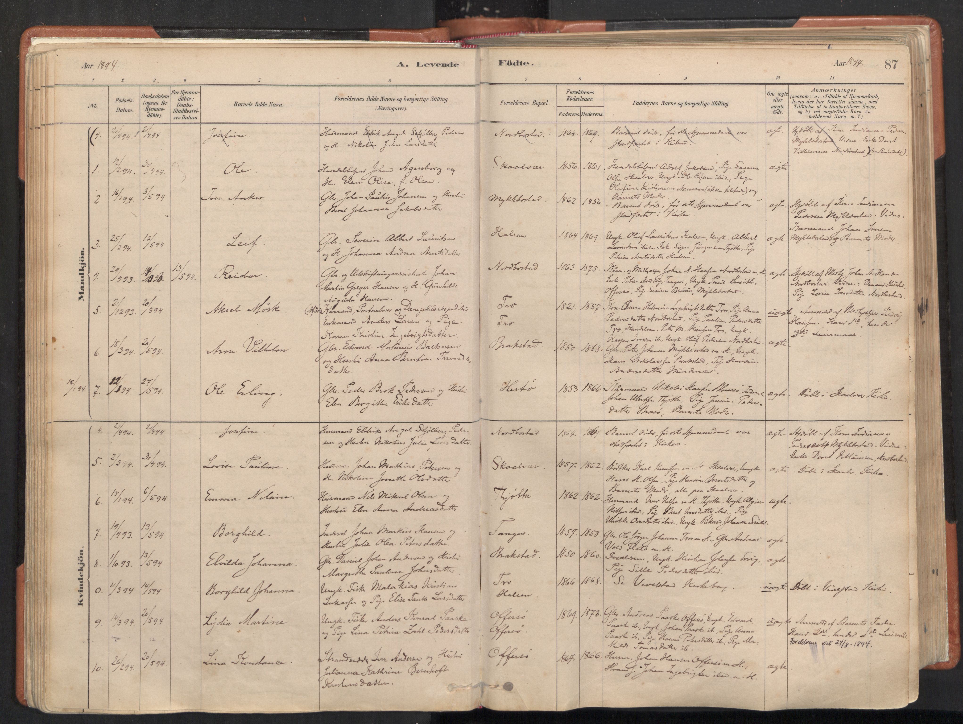 Ministerialprotokoller, klokkerbøker og fødselsregistre - Nordland, AV/SAT-A-1459/817/L0264: Parish register (official) no. 817A04, 1878-1907, p. 87