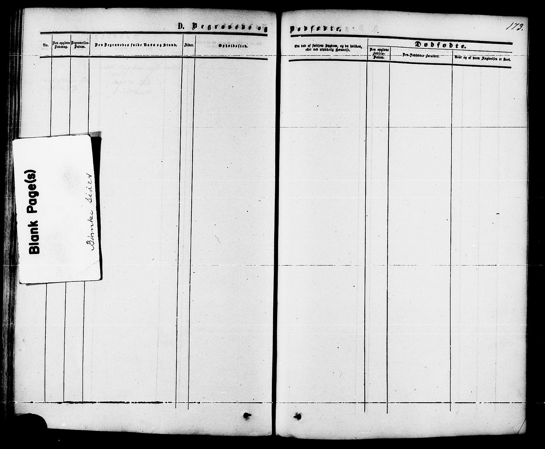 Ministerialprotokoller, klokkerbøker og fødselsregistre - Møre og Romsdal, AV/SAT-A-1454/542/L0552: Parish register (official) no. 542A02, 1854-1884, p. 173