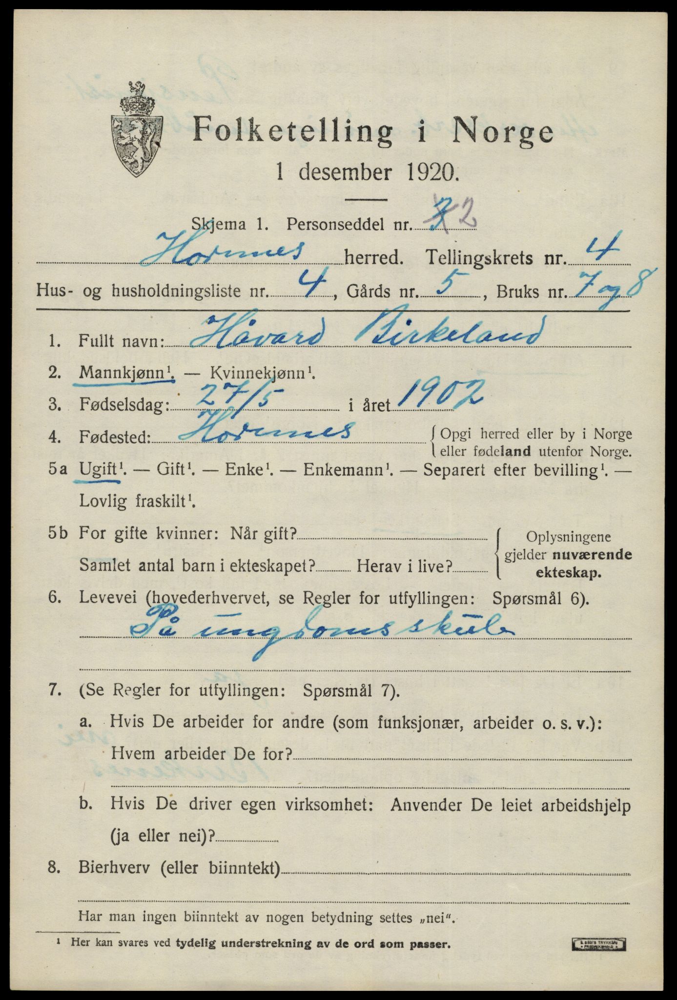 SAK, 1920 census for Hornnes, 1920, p. 1175