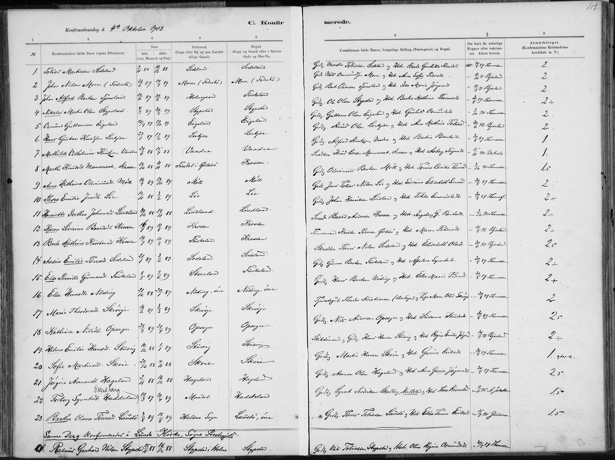 Holum sokneprestkontor, AV/SAK-1111-0022/F/Fa/Faa/L0007: Parish register (official) no. A 7, 1884-1907, p. 119