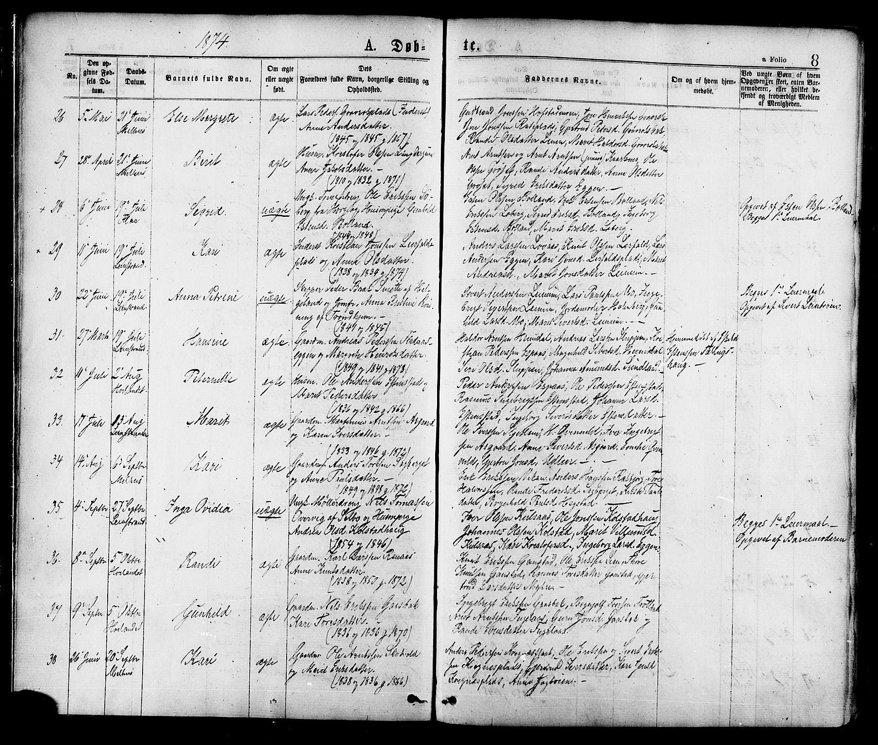 Ministerialprotokoller, klokkerbøker og fødselsregistre - Sør-Trøndelag, AV/SAT-A-1456/691/L1079: Parish register (official) no. 691A11, 1873-1886, p. 8