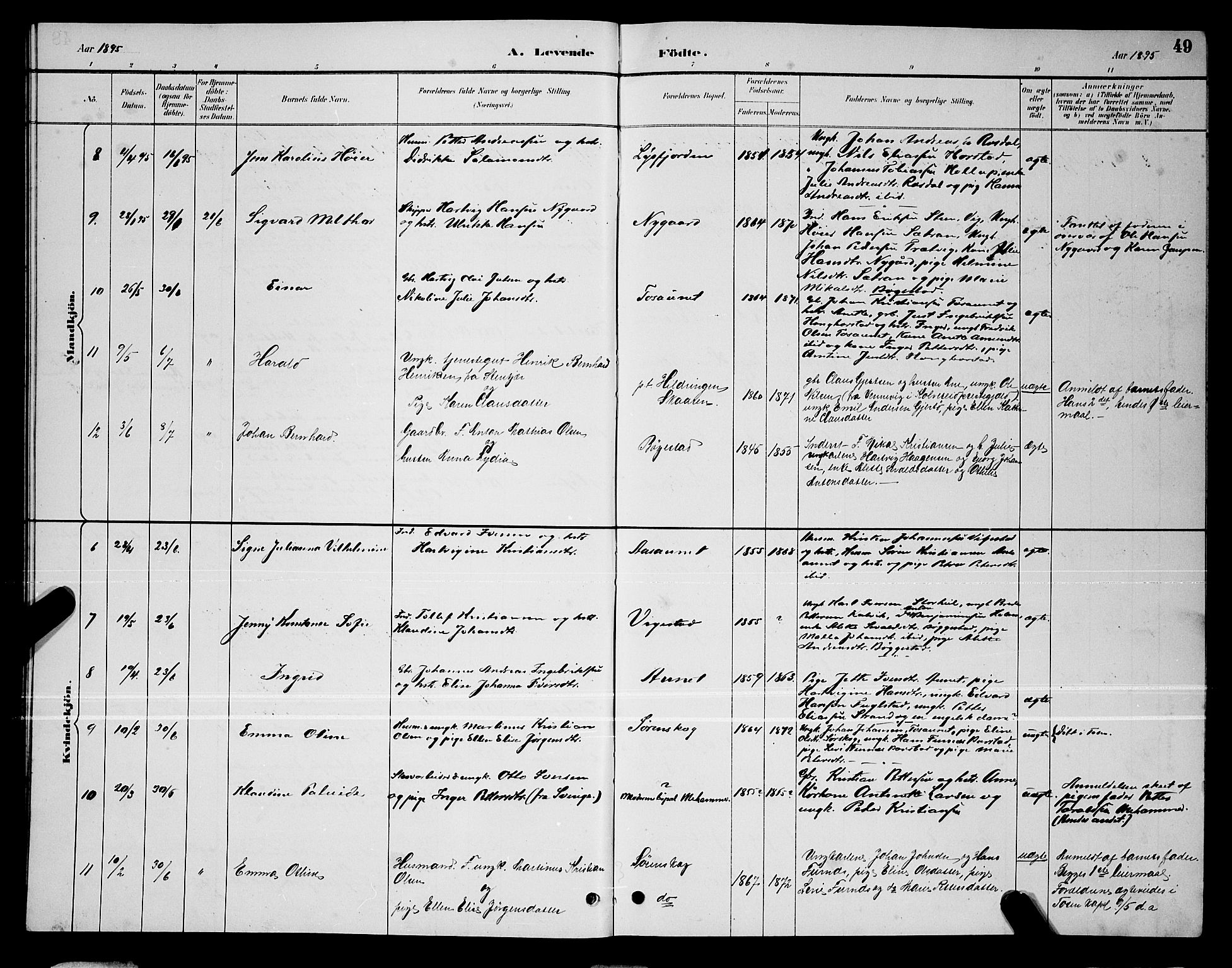 Ministerialprotokoller, klokkerbøker og fødselsregistre - Nordland, AV/SAT-A-1459/810/L0160: Parish register (copy) no. 810C03, 1884-1896, p. 49