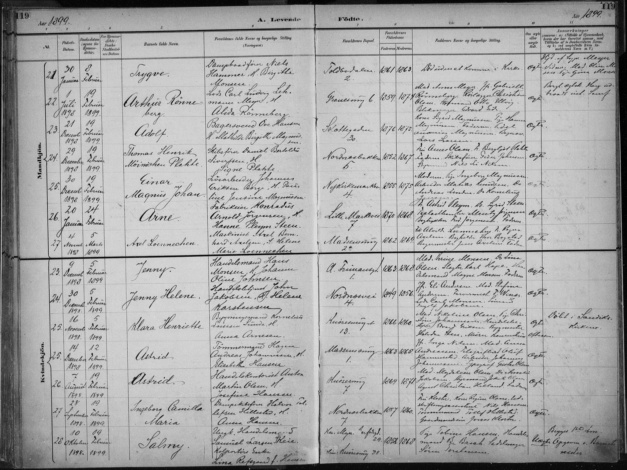 Nykirken Sokneprestembete, AV/SAB-A-77101/H/Haa/L0018: Parish register (official) no. B 6, 1895-1903, p. 119