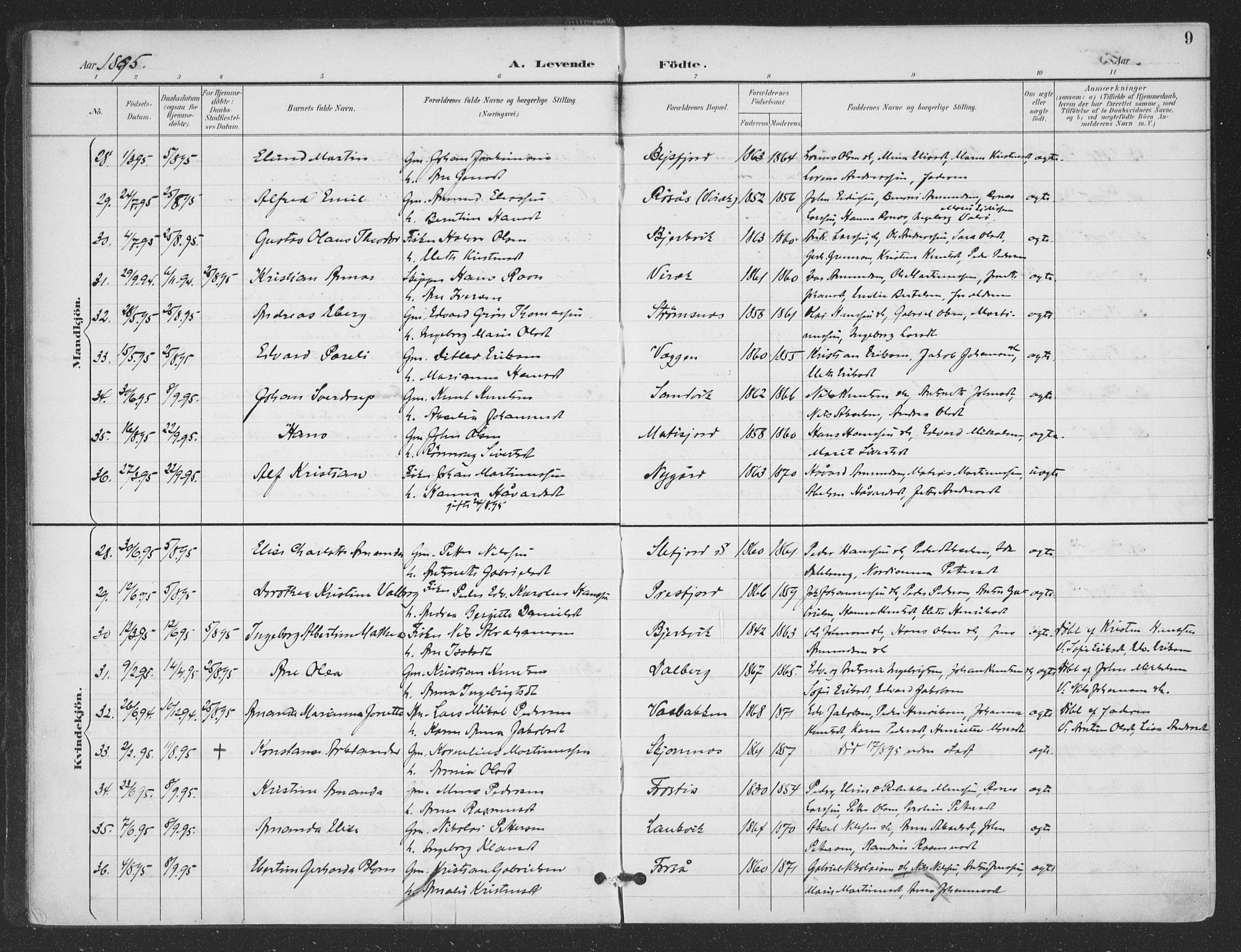 Ministerialprotokoller, klokkerbøker og fødselsregistre - Nordland, SAT/A-1459/866/L0939: Parish register (official) no. 866A02, 1894-1906, p. 9