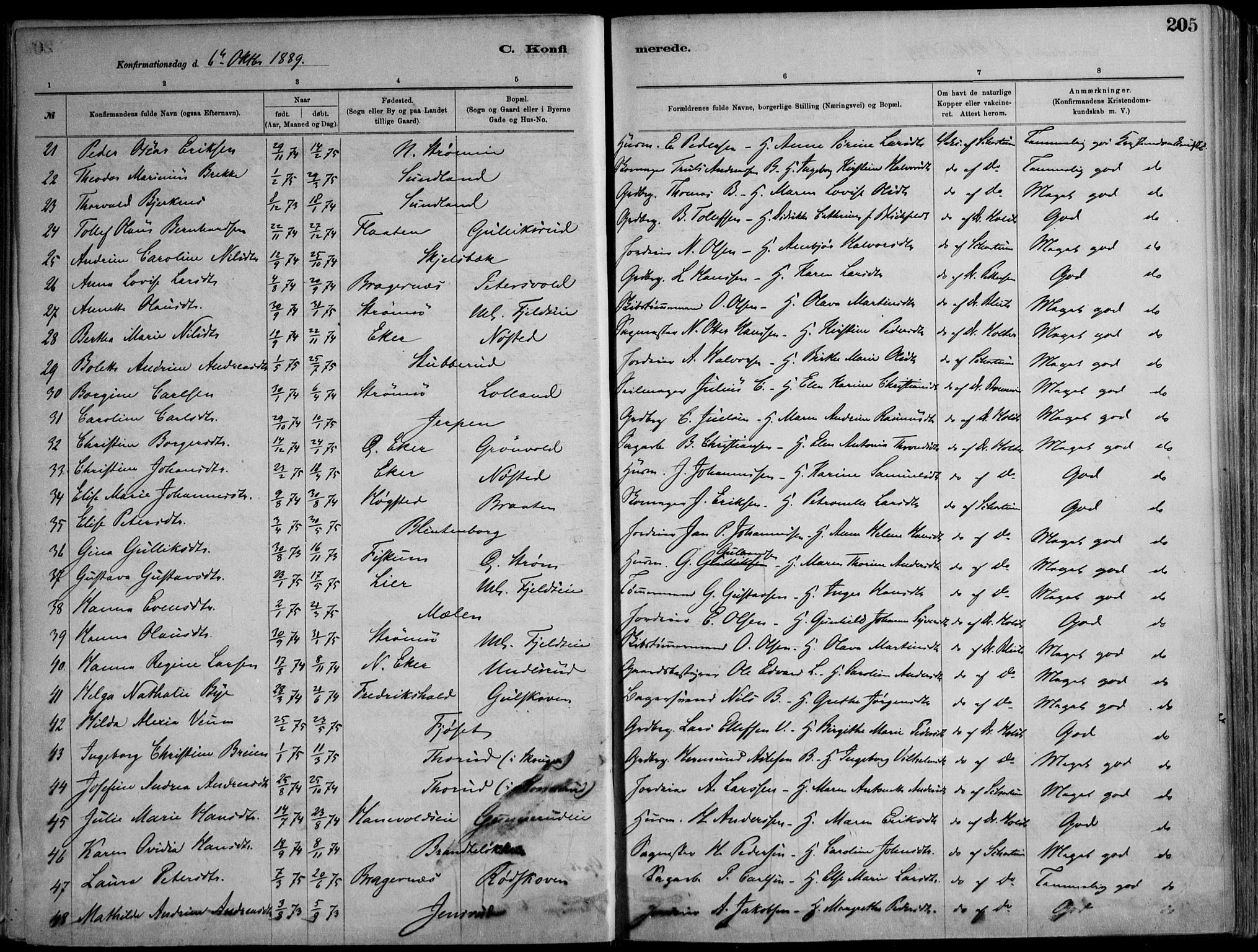 Skoger kirkebøker, AV/SAKO-A-59/F/Fa/L0006: Parish register (official) no. I 6, 1885-1910, p. 205