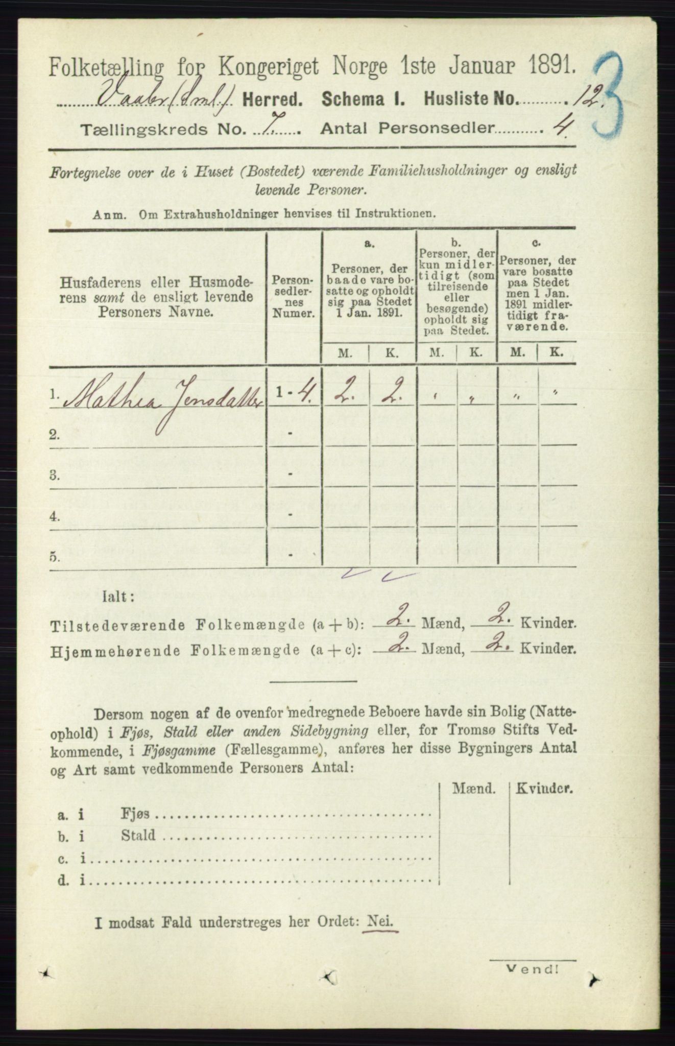 RA, 1891 census for 0137 Våler, 1891, p. 2809