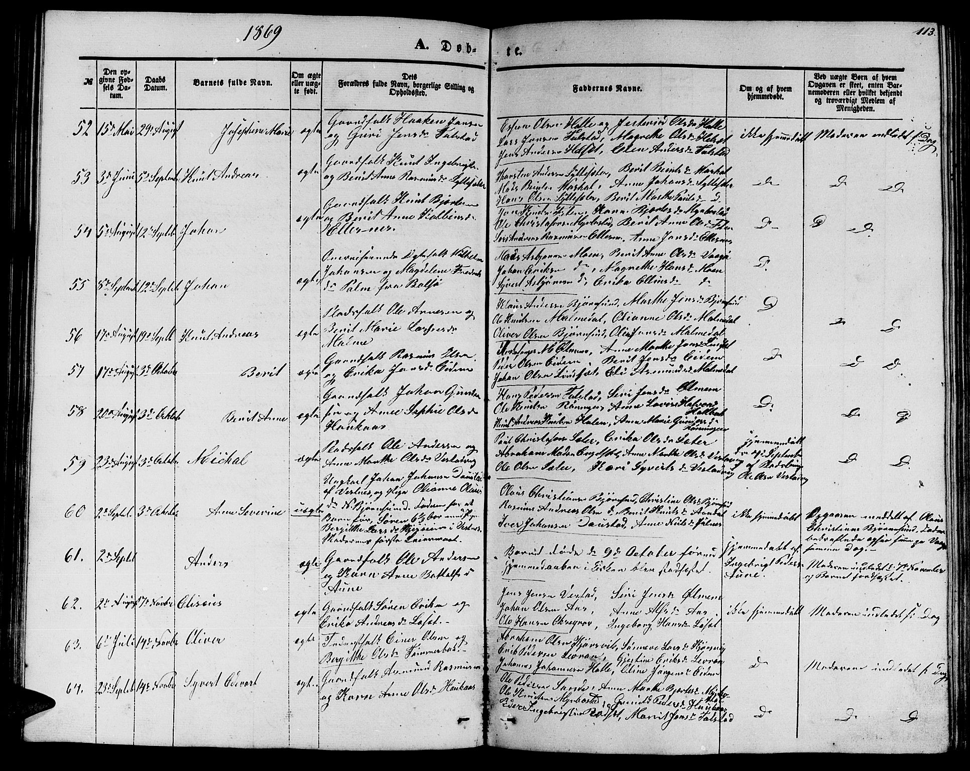 Ministerialprotokoller, klokkerbøker og fødselsregistre - Møre og Romsdal, SAT/A-1454/565/L0753: Parish register (copy) no. 565C02, 1845-1870, p. 113