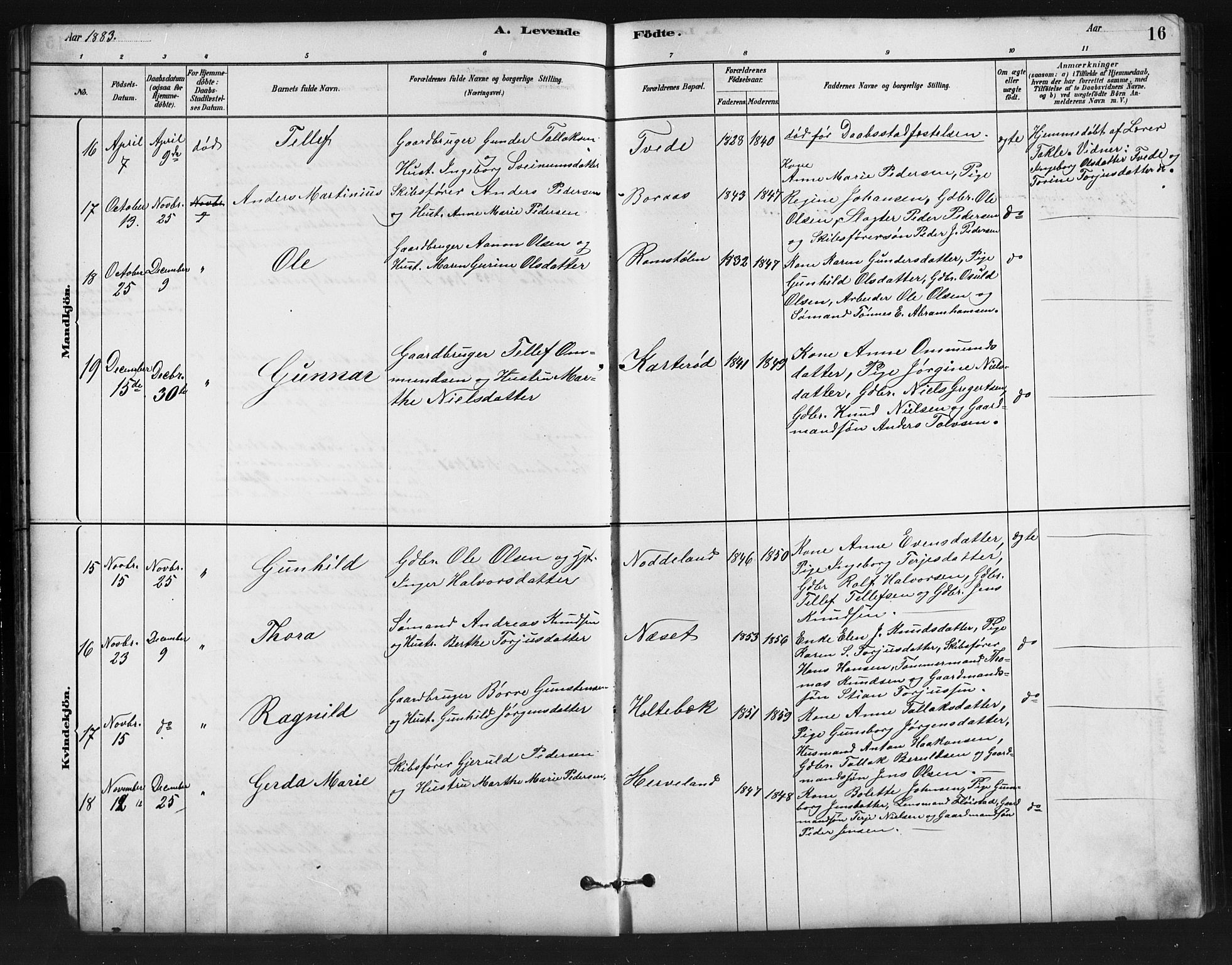 Austre Moland sokneprestkontor, SAK/1111-0001/F/Fb/Fba/L0003: Parish register (copy) no. B 3, 1879-1914, p. 16