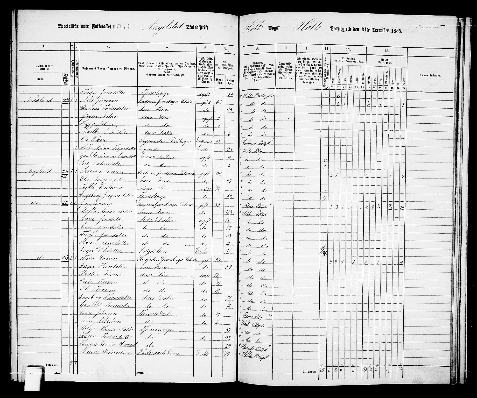 RA, 1865 census for Holt/Holt, 1865, p. 157