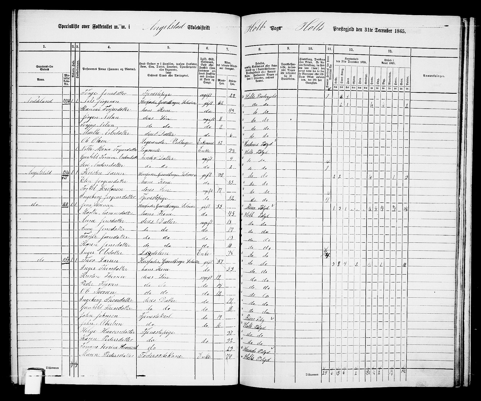 RA, 1865 census for Holt/Holt, 1865, p. 157